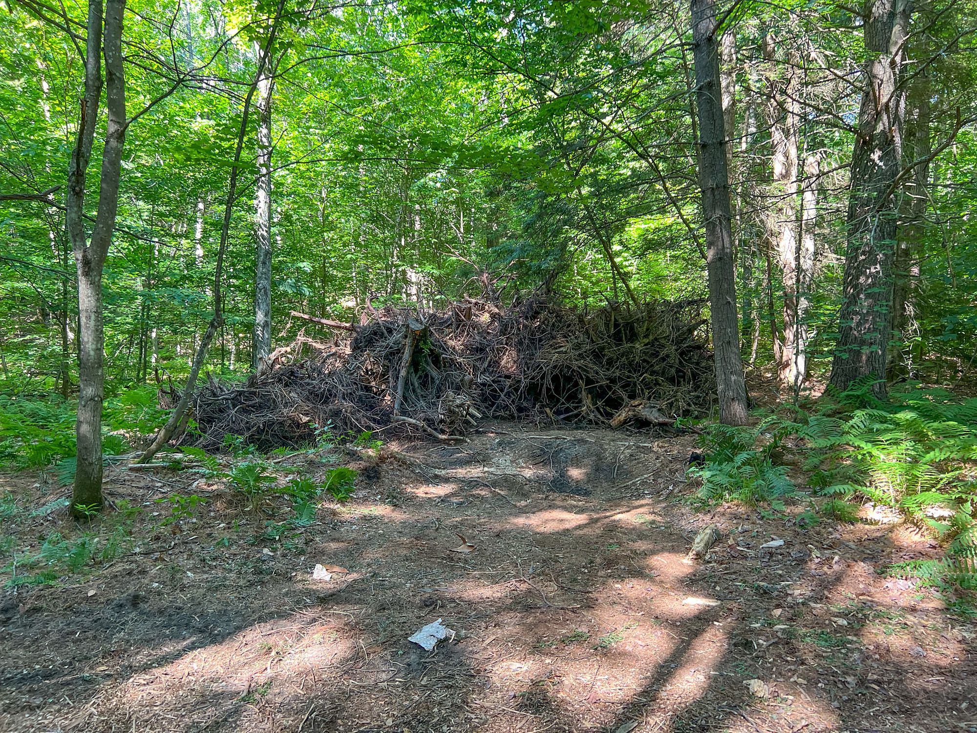 Stump Pile