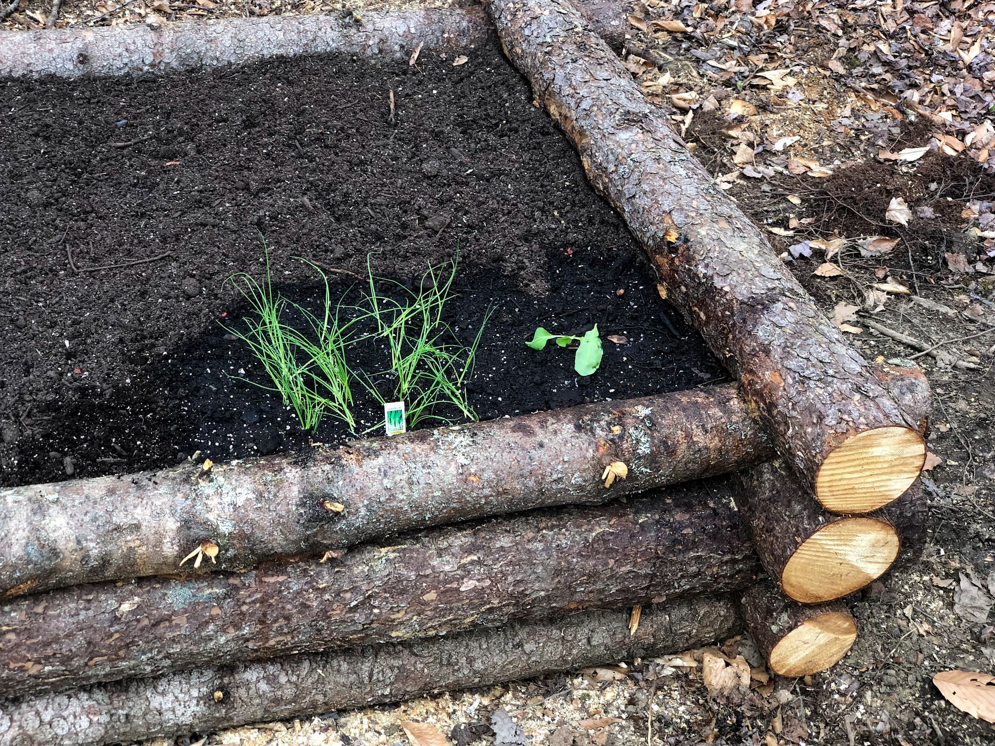 Raised Log Garden Bed