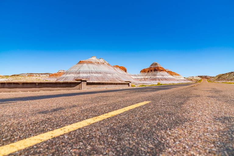 Petrified Forest Road