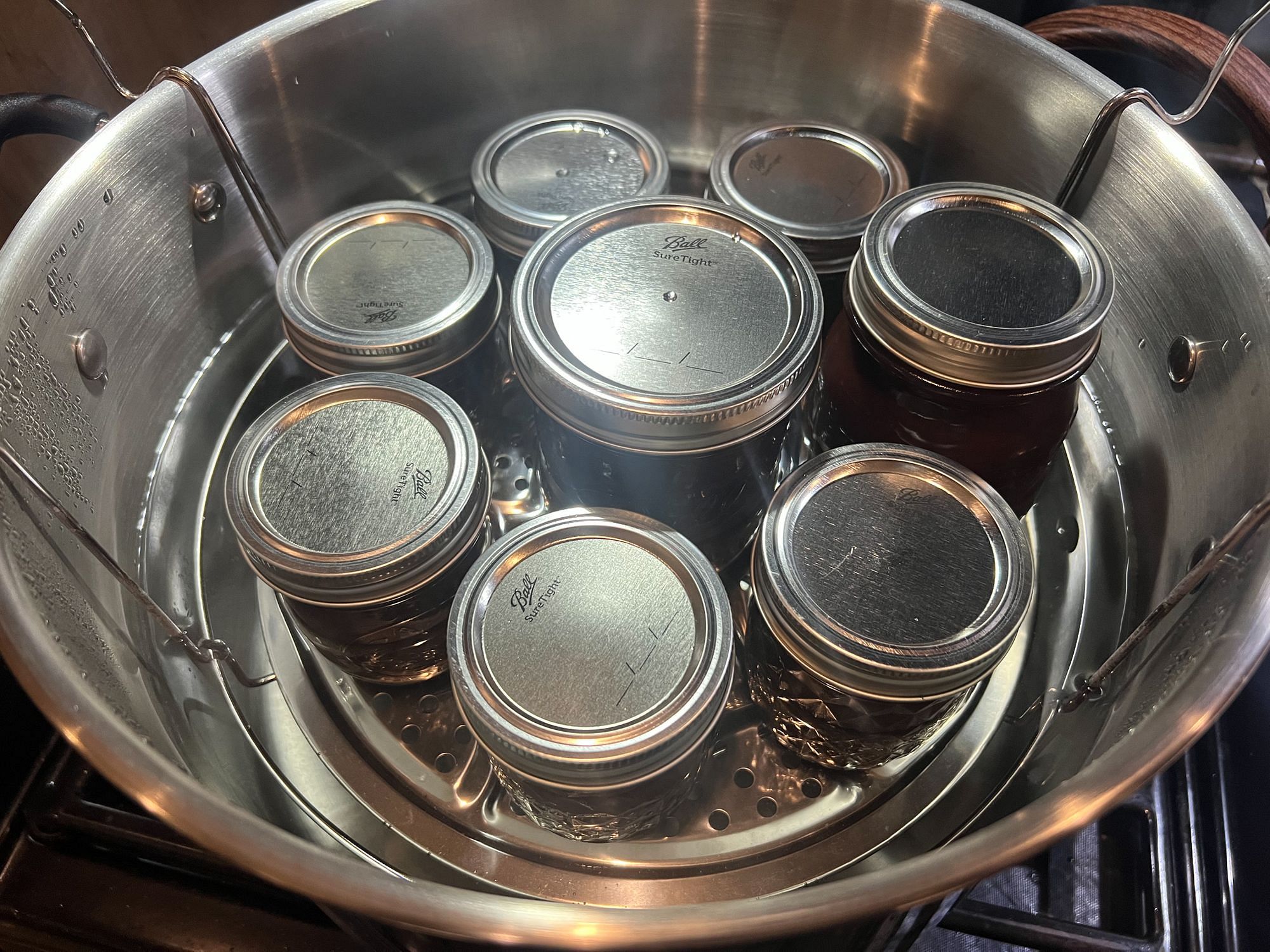 Harvest 20qt Canning Pot