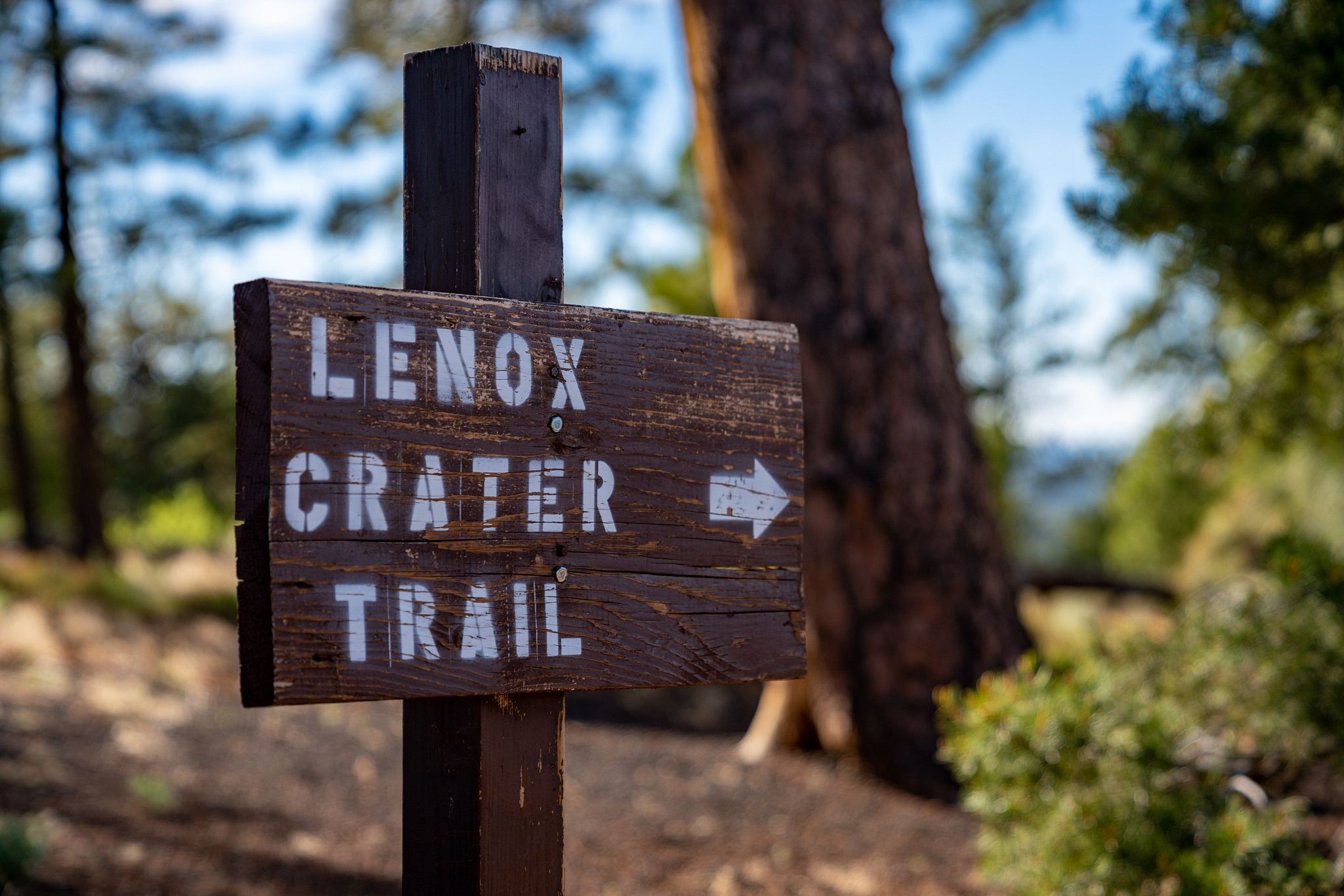 Lenox Crater Trail