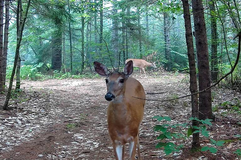 Meeting our Neighbors