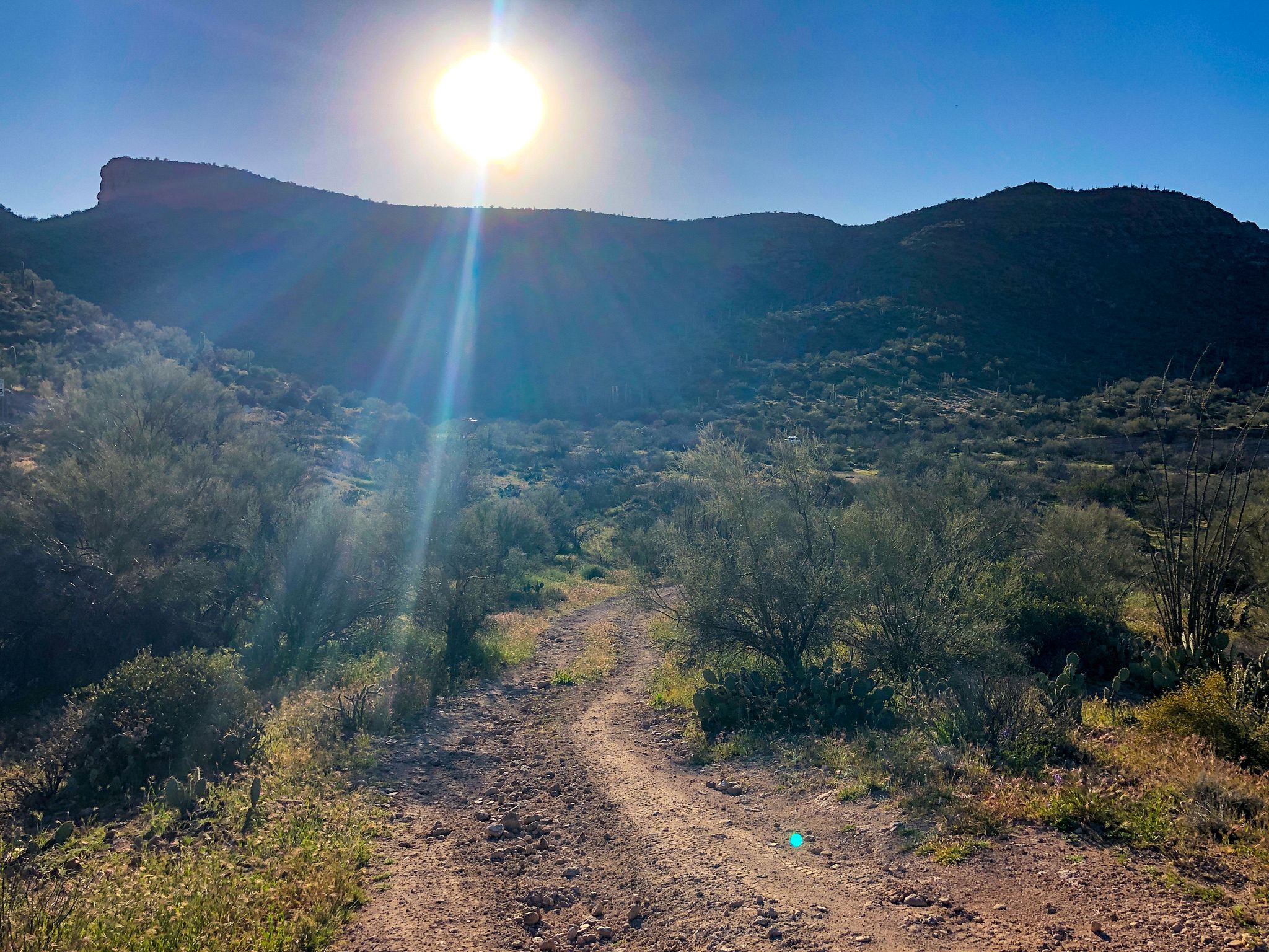 Tortilla Flat Boondocking