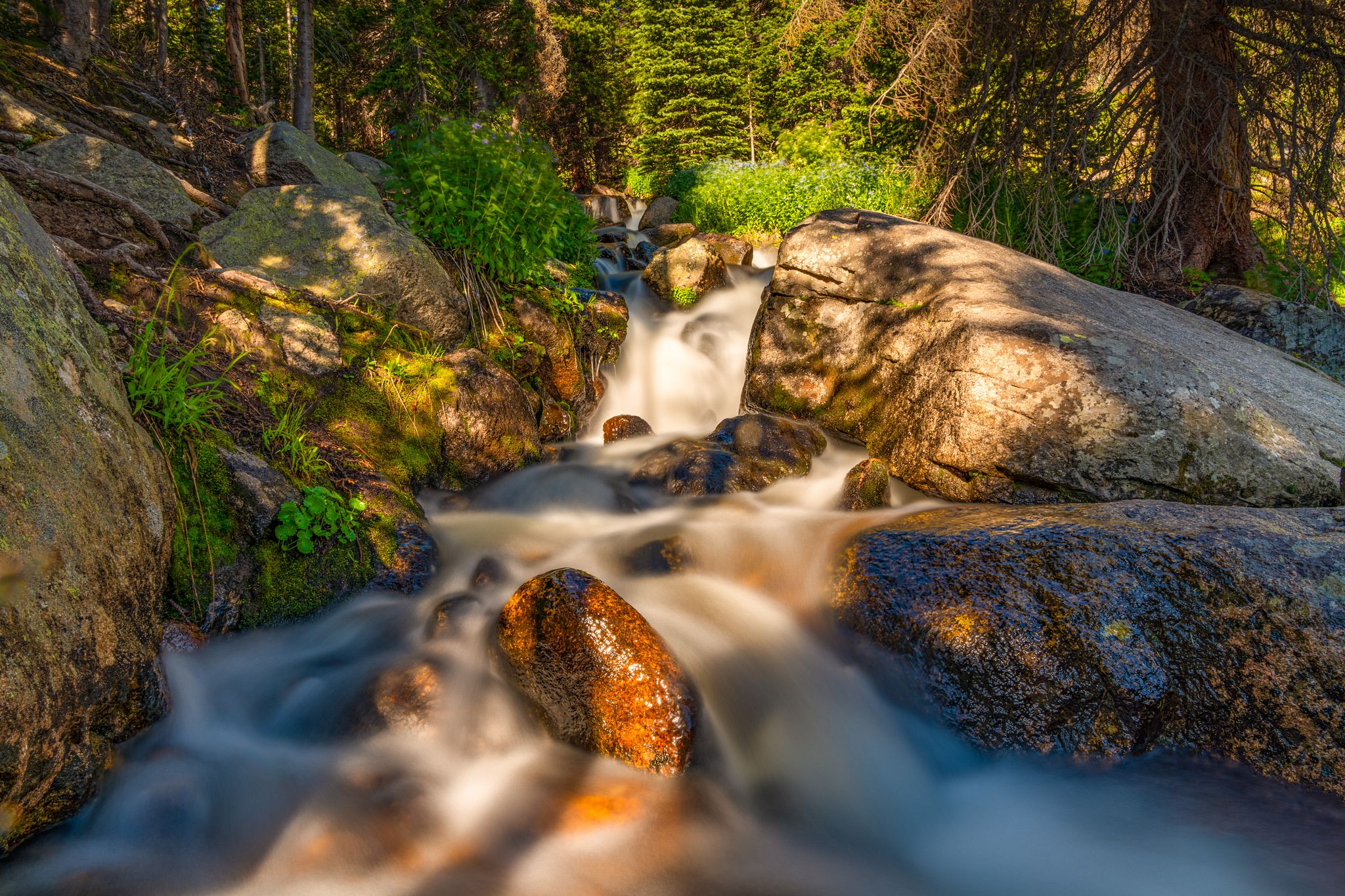 Chasm Lake Trail
