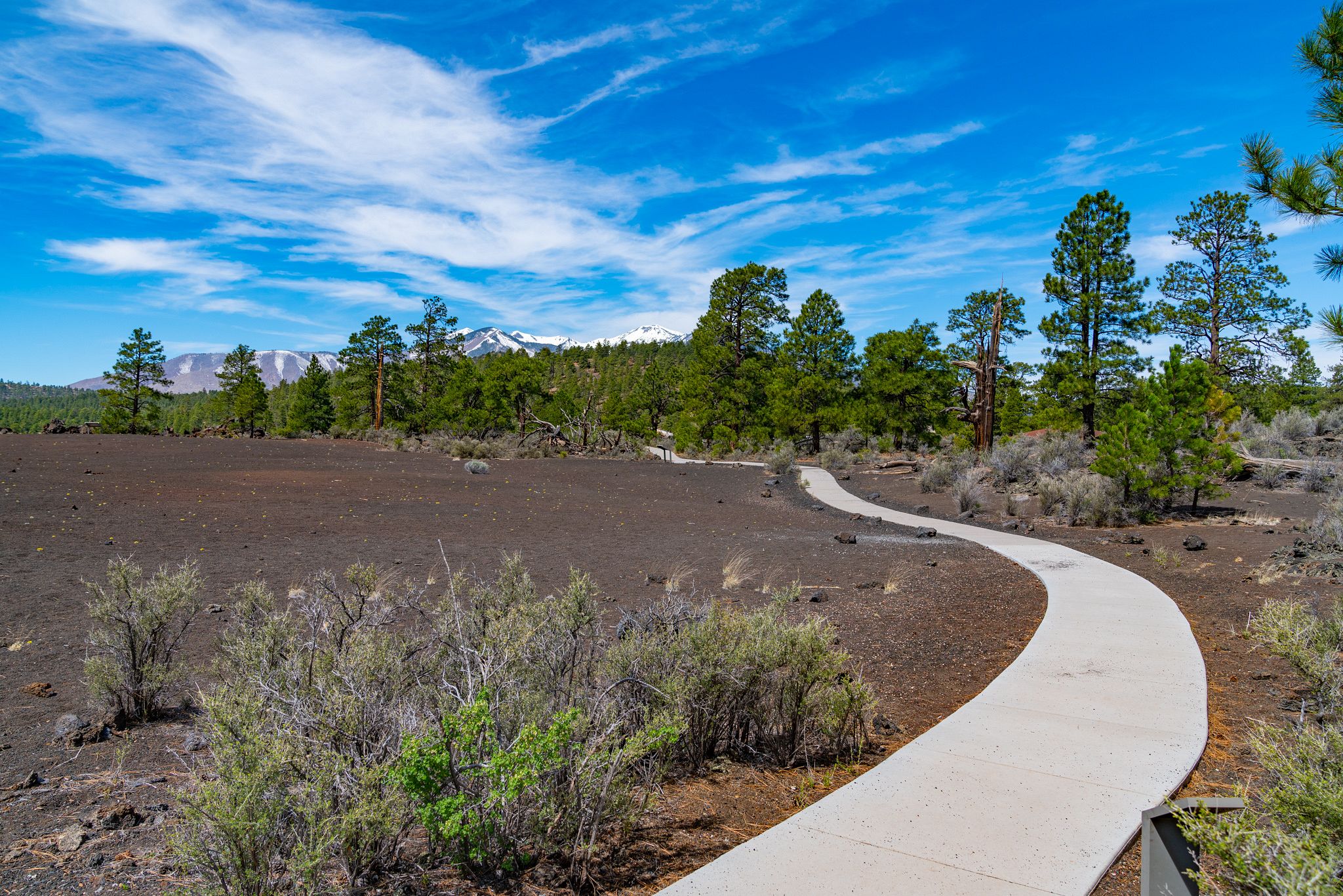 Sunset Crater Volcano Trail