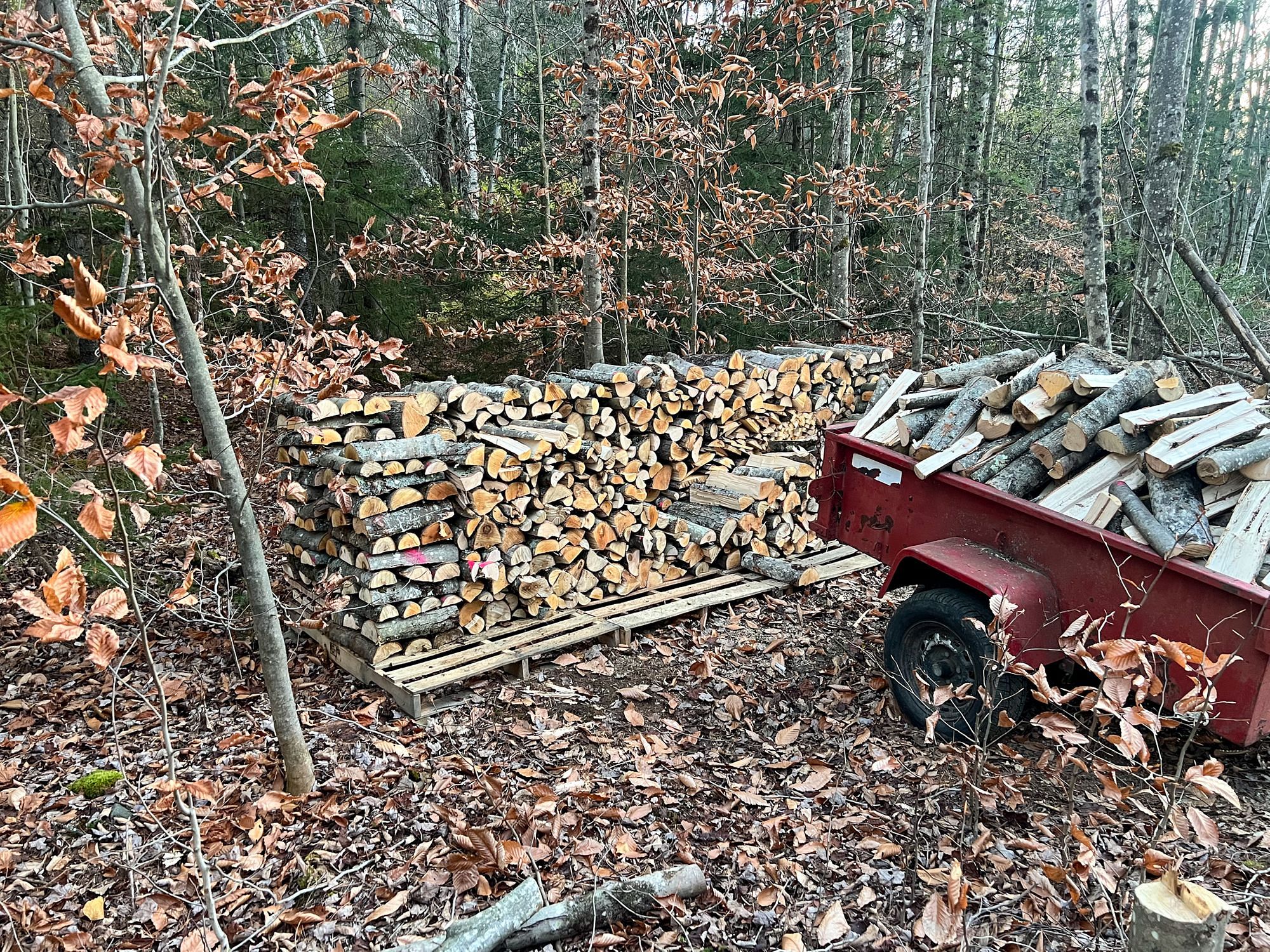 Firewood Stacking