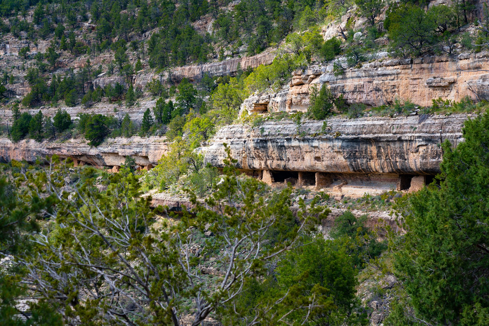 Walnut Canyon Cliffs