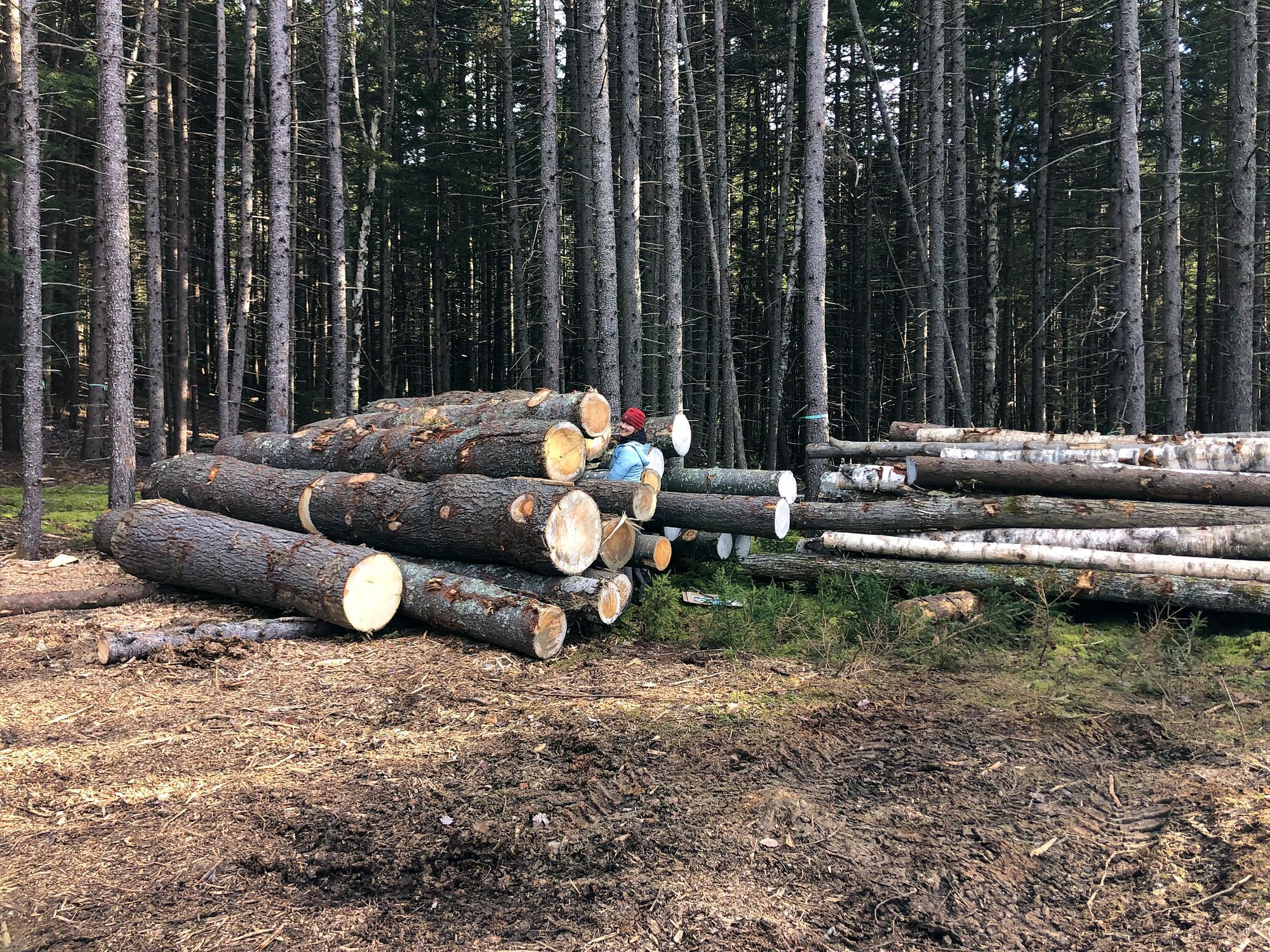 Log Pile