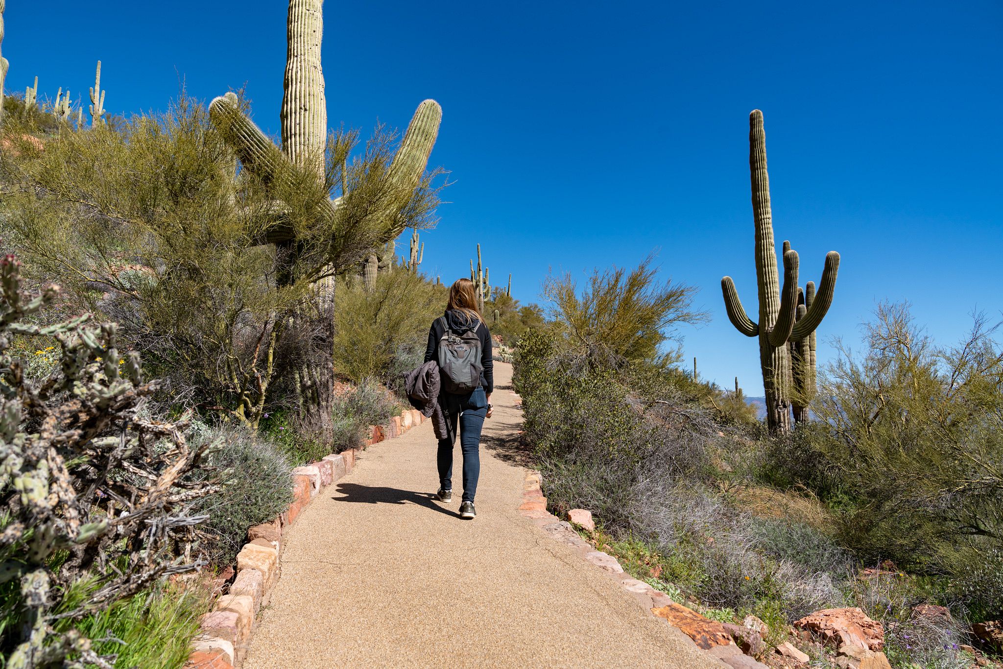 Lower Cliff Dwelling Hike