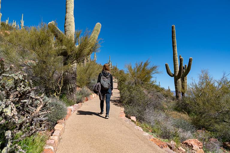 Lower Cliff Dwelling Hike