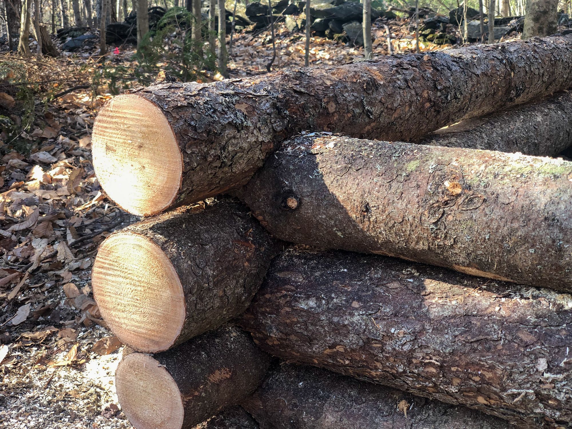 Swedish Cope Log Raised Bed