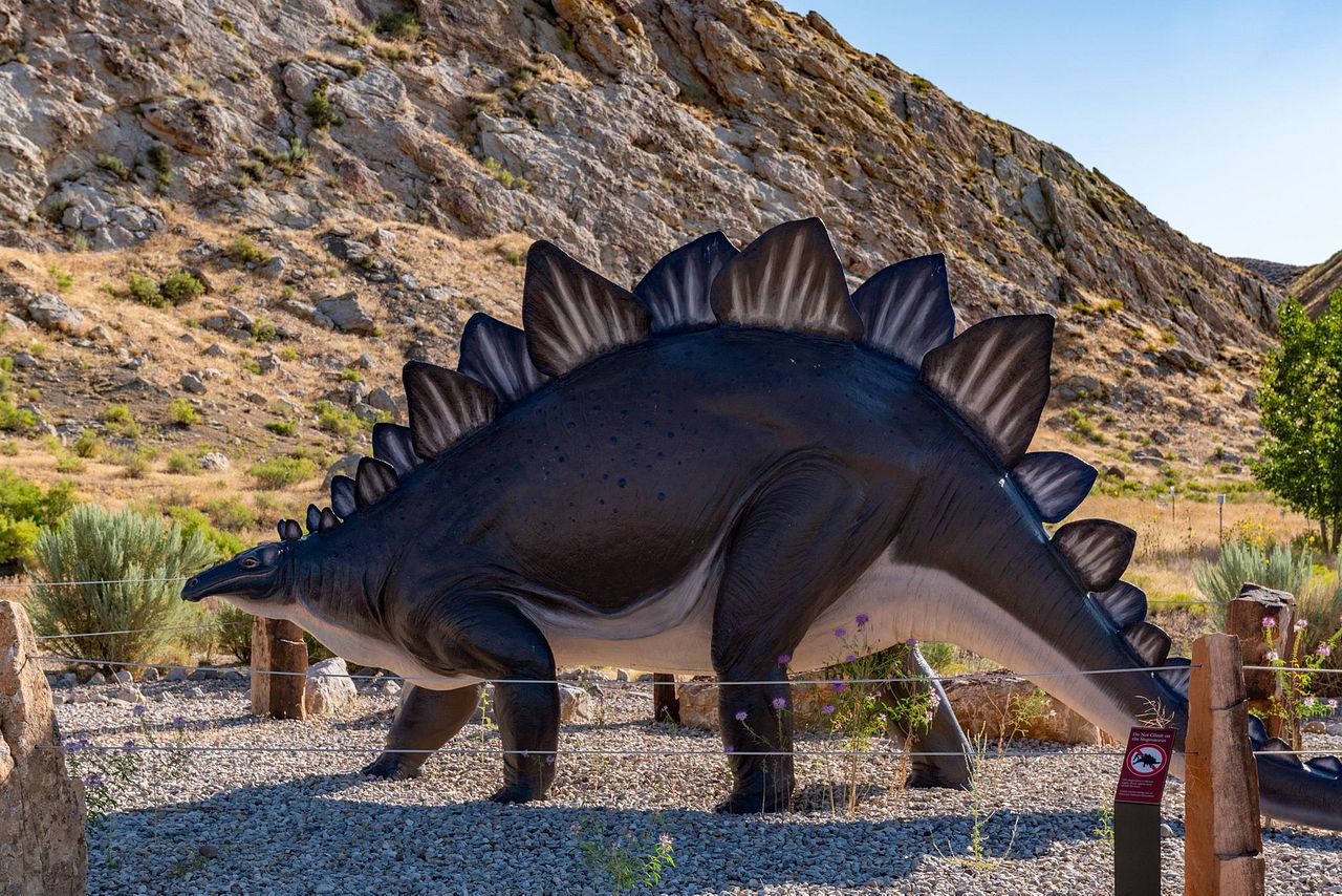 dinosaur national monument things to do