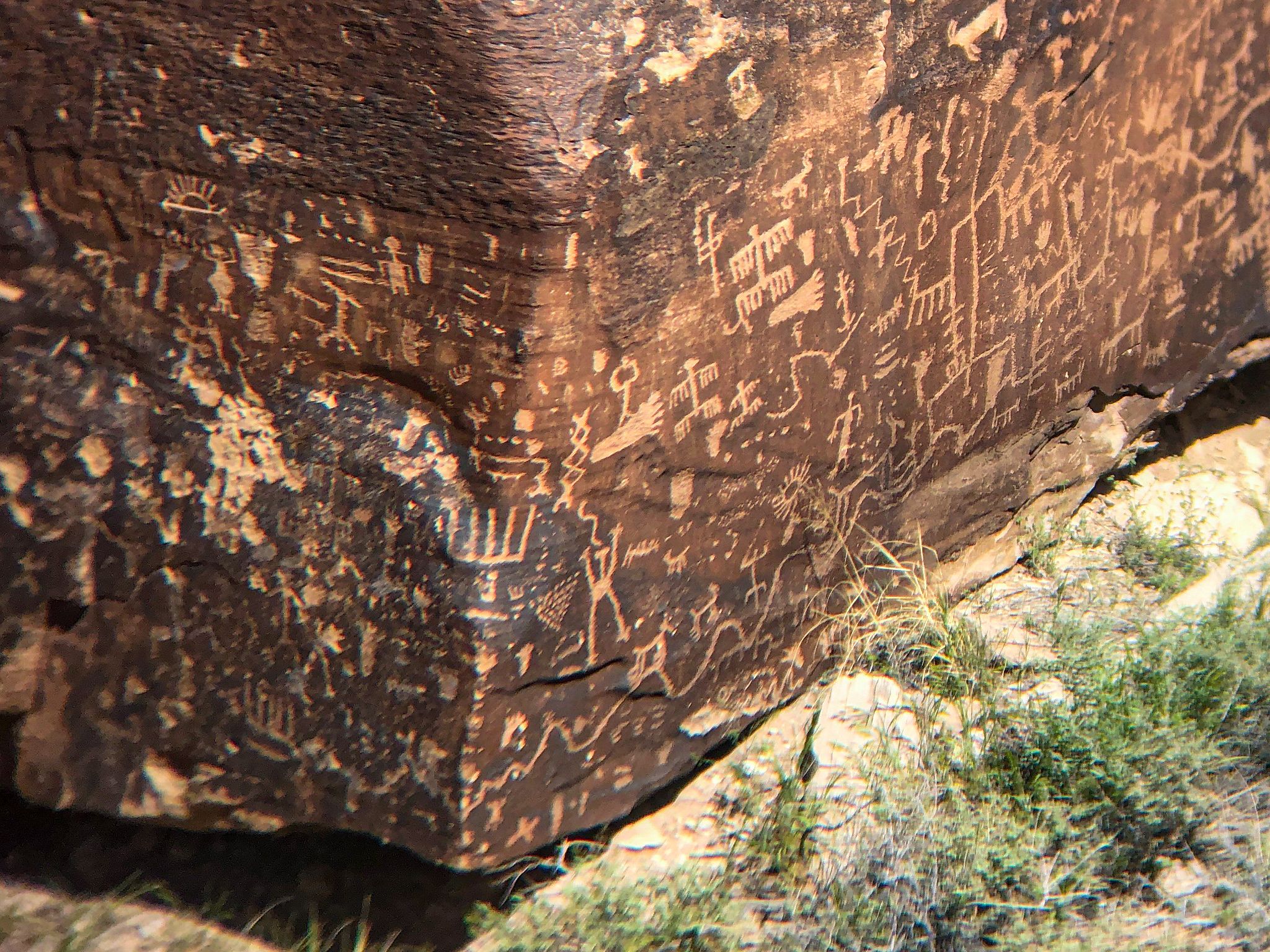 Newspaper Rock Petroglyphs