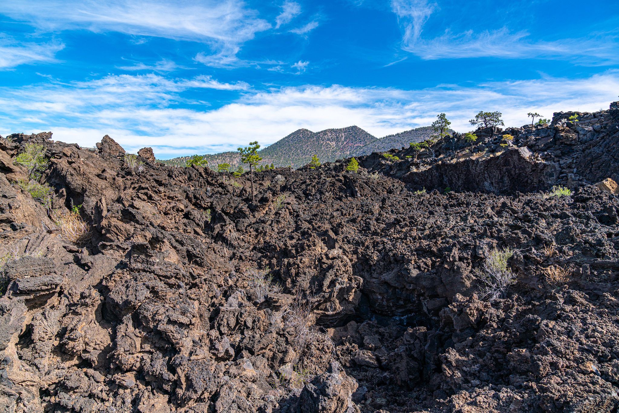 Sharp Rocks on A'a Trail