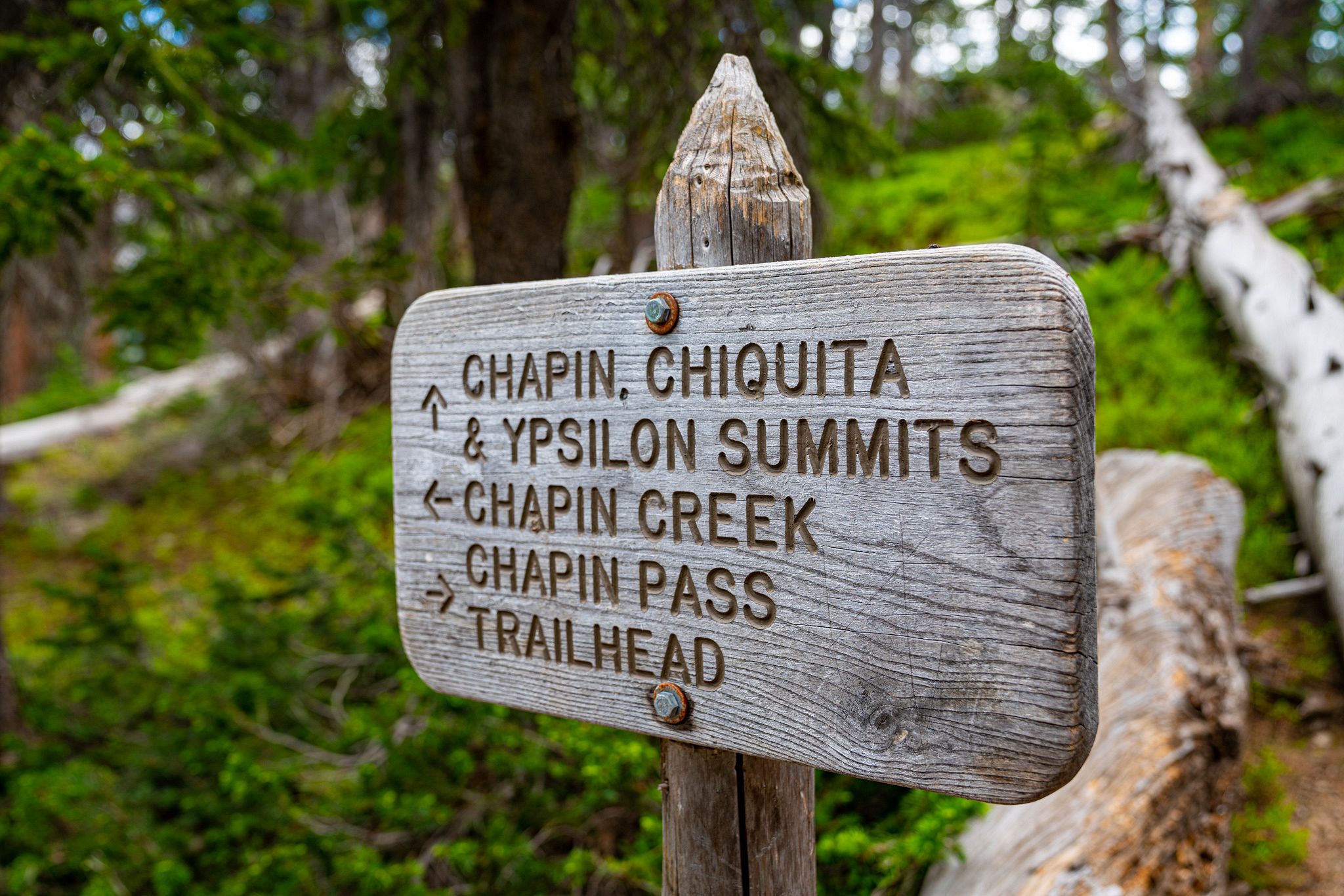 Chapin Creek Trailhead
