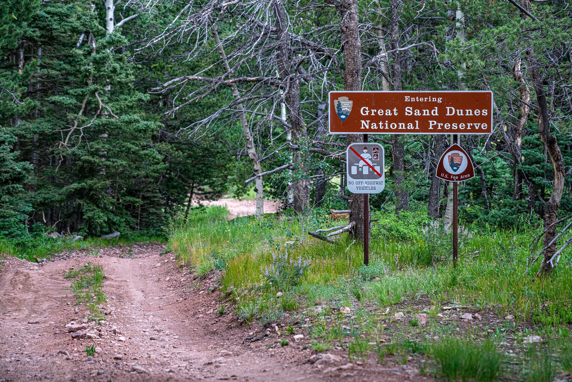 Medano Pass Primitive Road