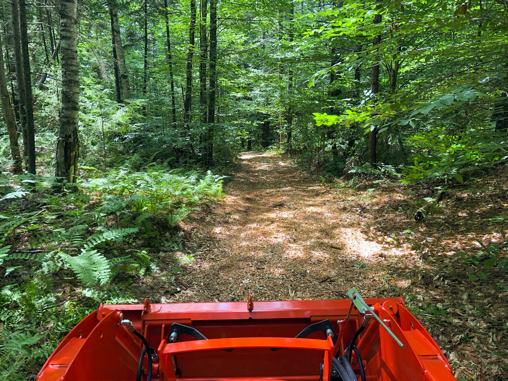 Wood Chips on Trail