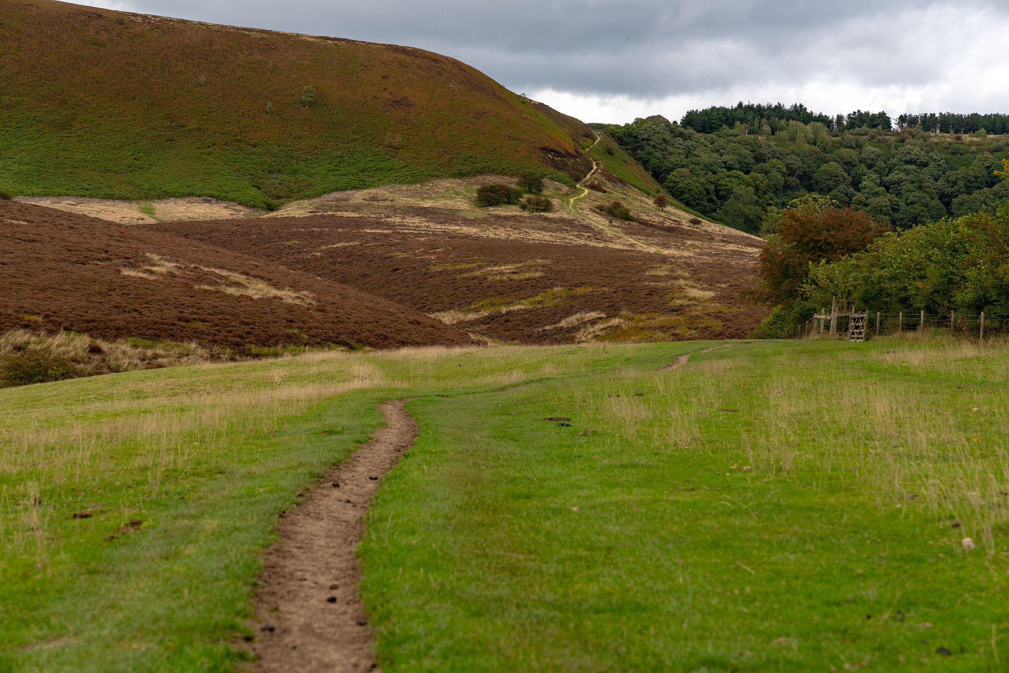 Climb out of the Hole of Horcum