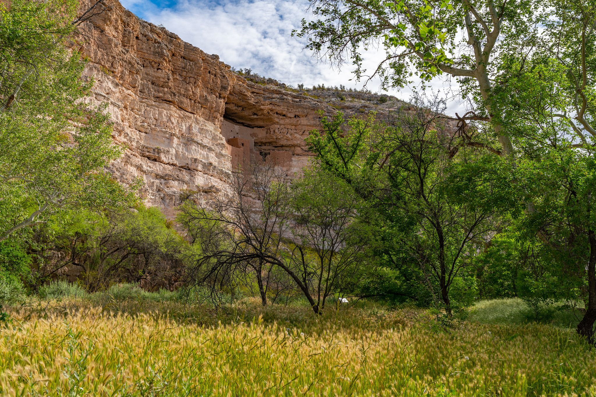 Montezuma Castle Cliff Dwellings