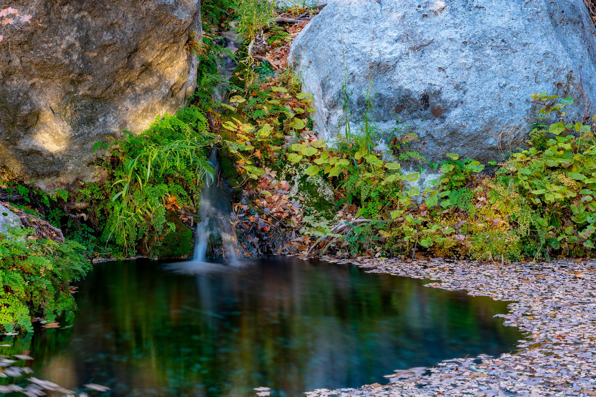 Smith Spring