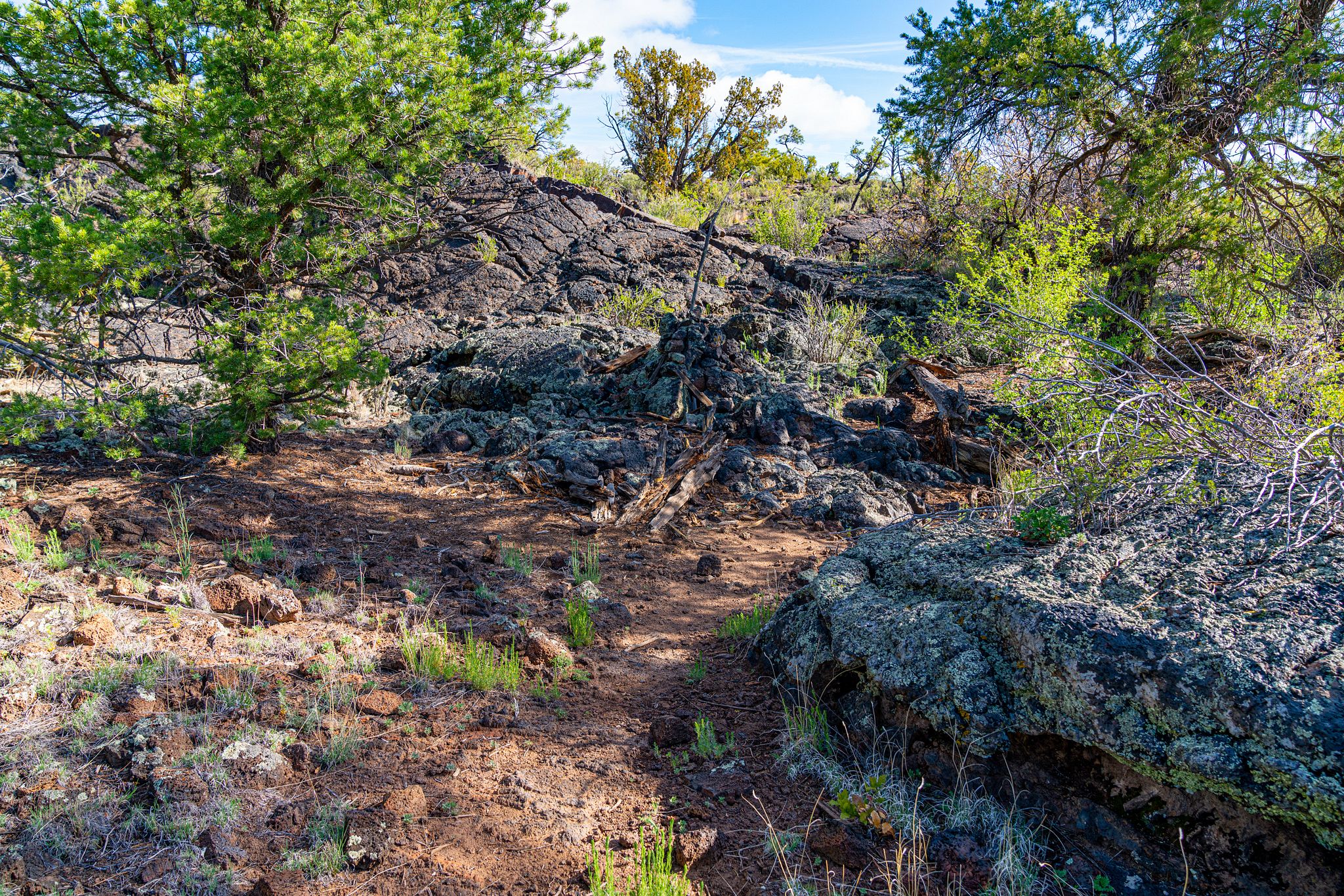Zuni-Acoma Trail