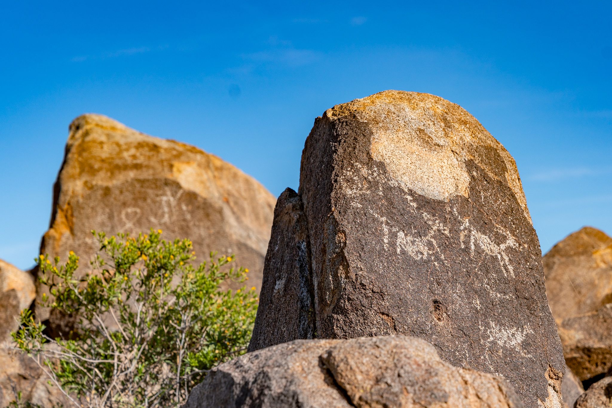 Signal Hills Petroglyphs