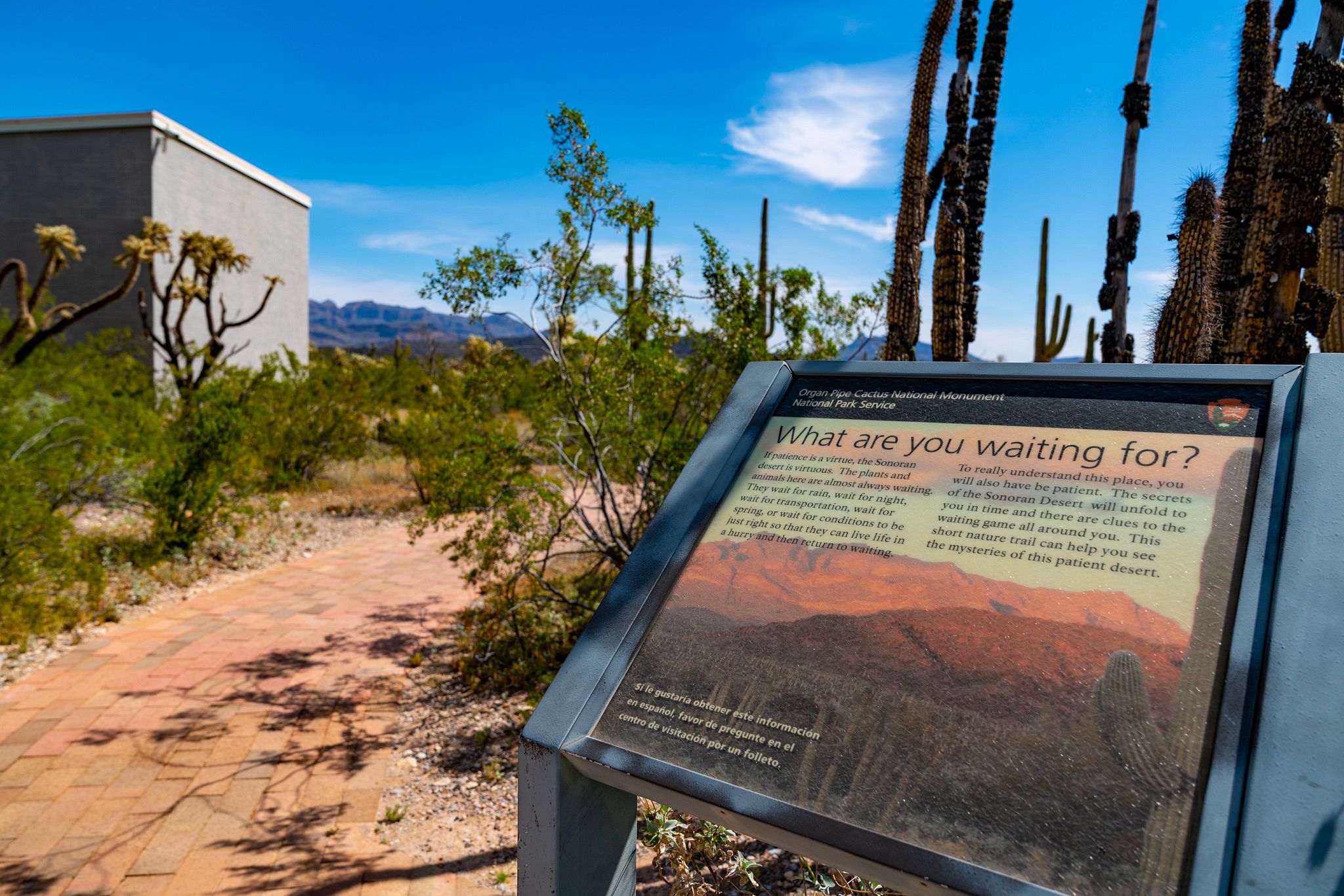 Birds - Organ Pipe Cactus National Monument (U.S. National Park Service)