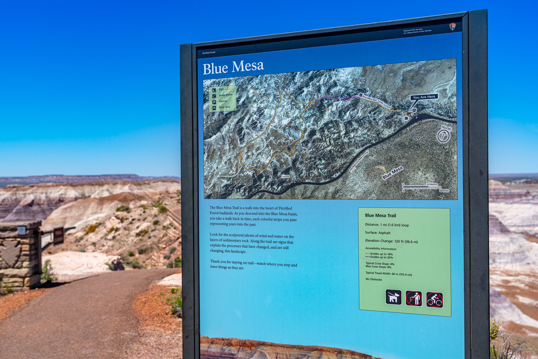 Blue Mesa Trail