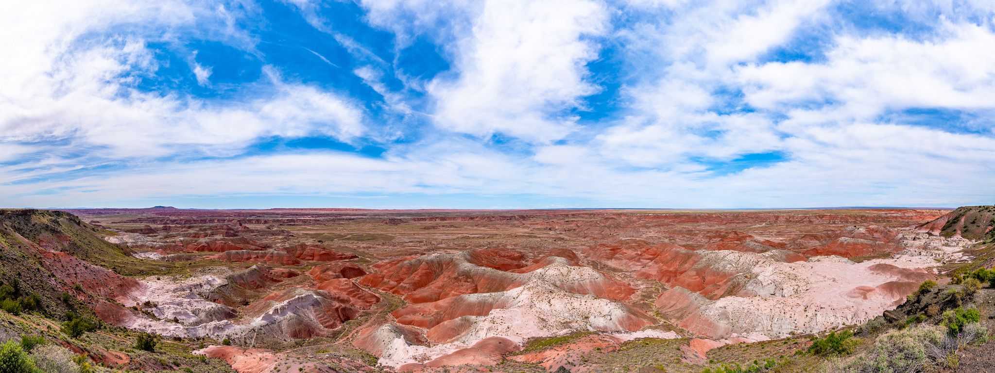 Petrified Forest National Park Panorama