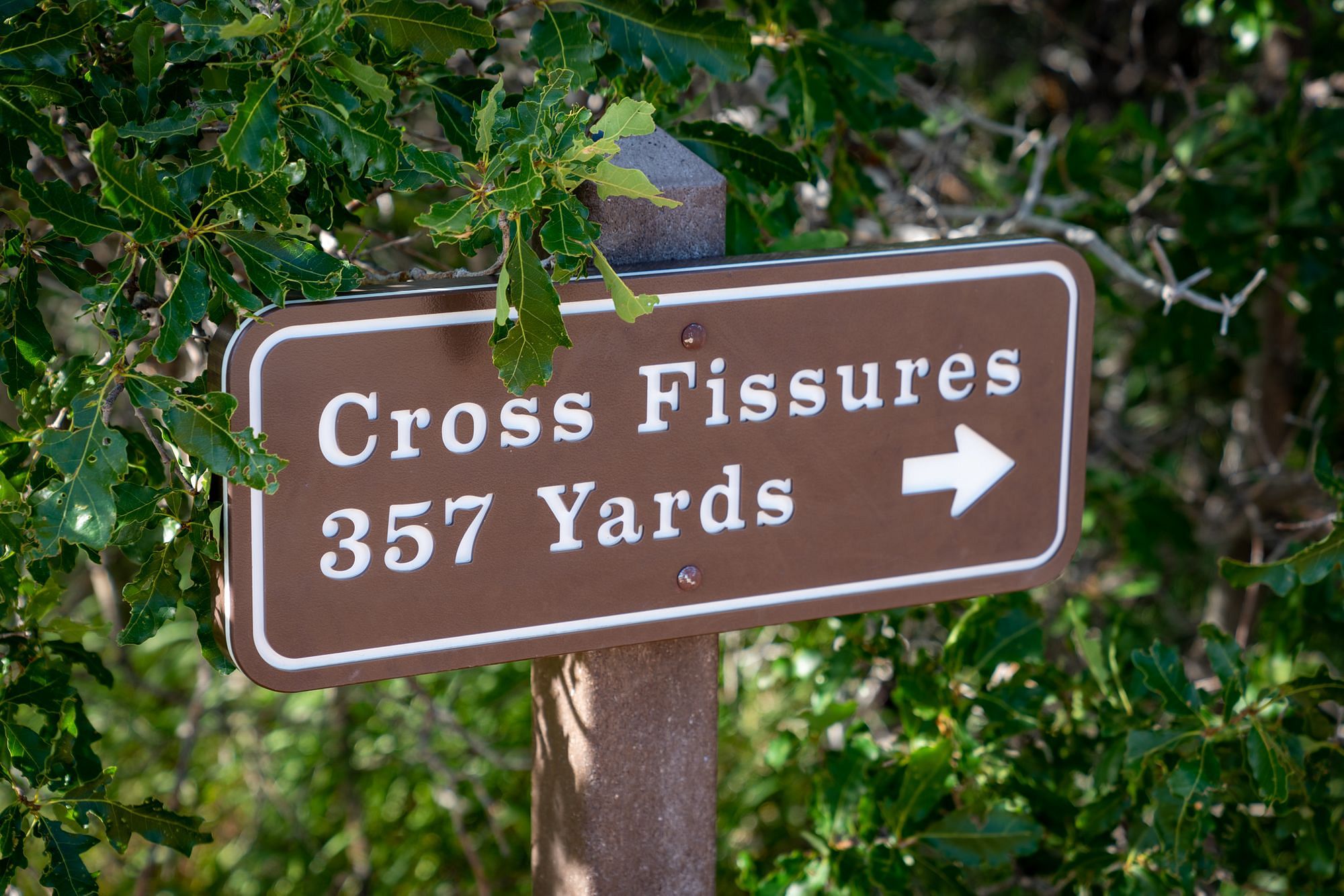 Cross Fissures