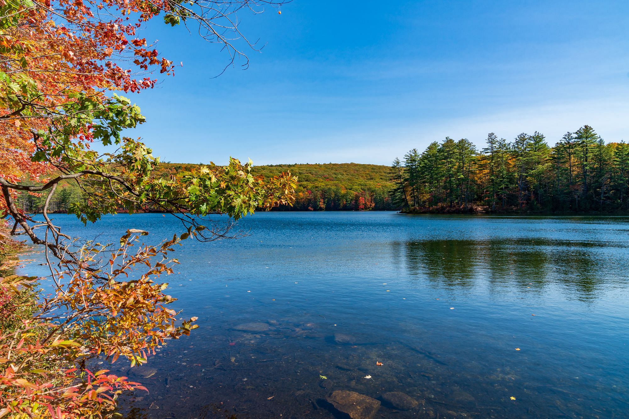 Goose Pond New Hampshire