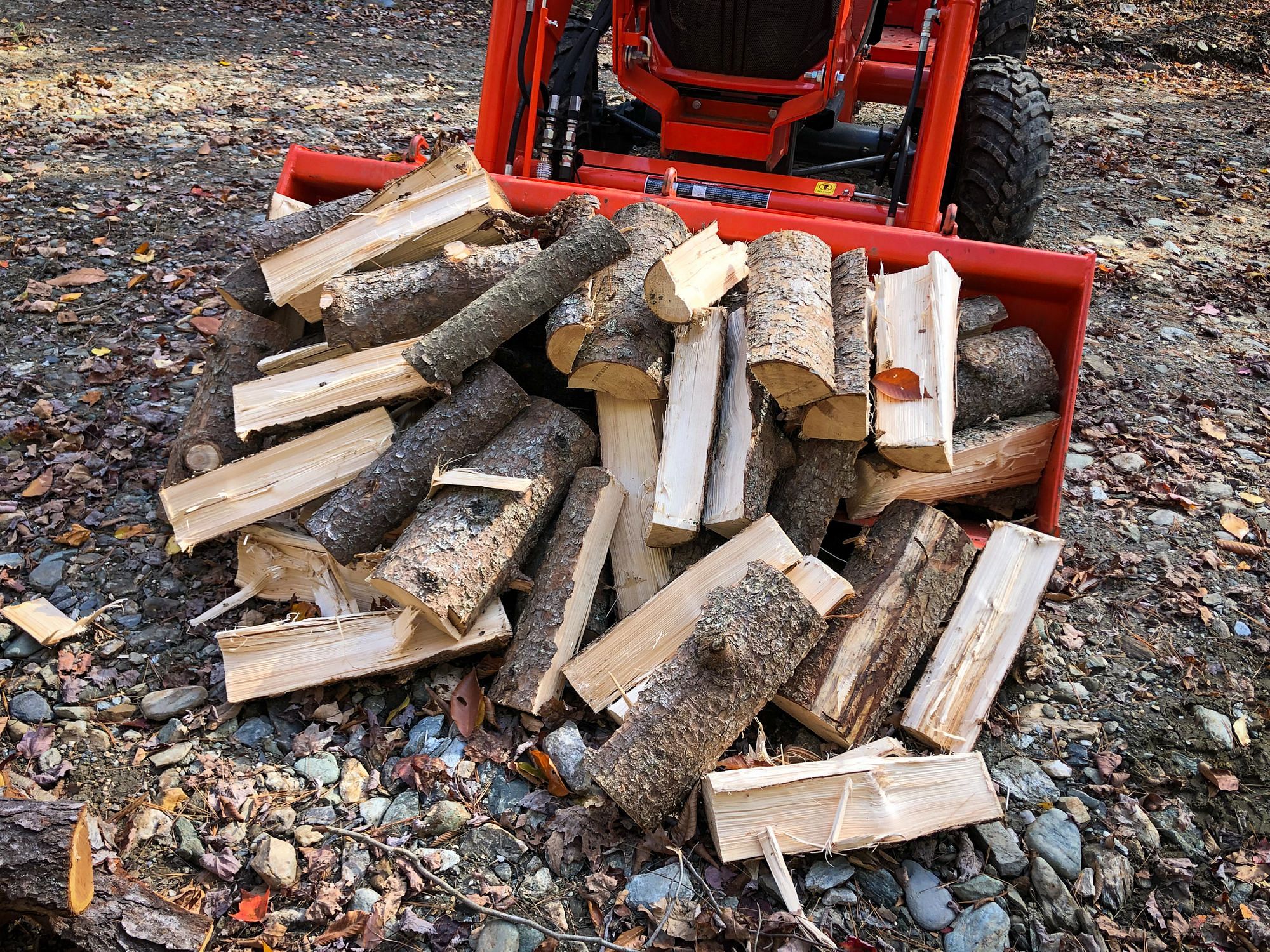 Cutting Firewood Adventurous Way