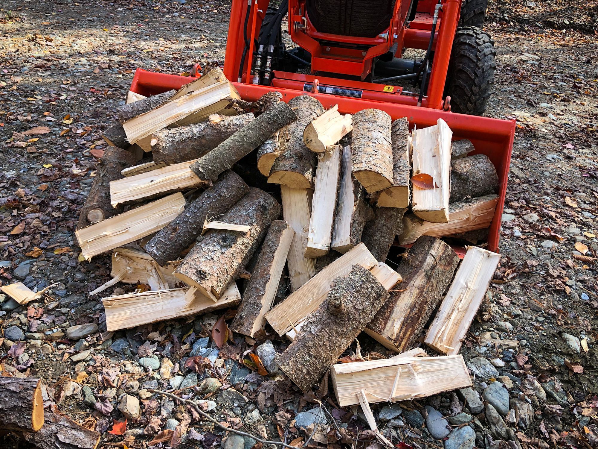 Cutting Firewood