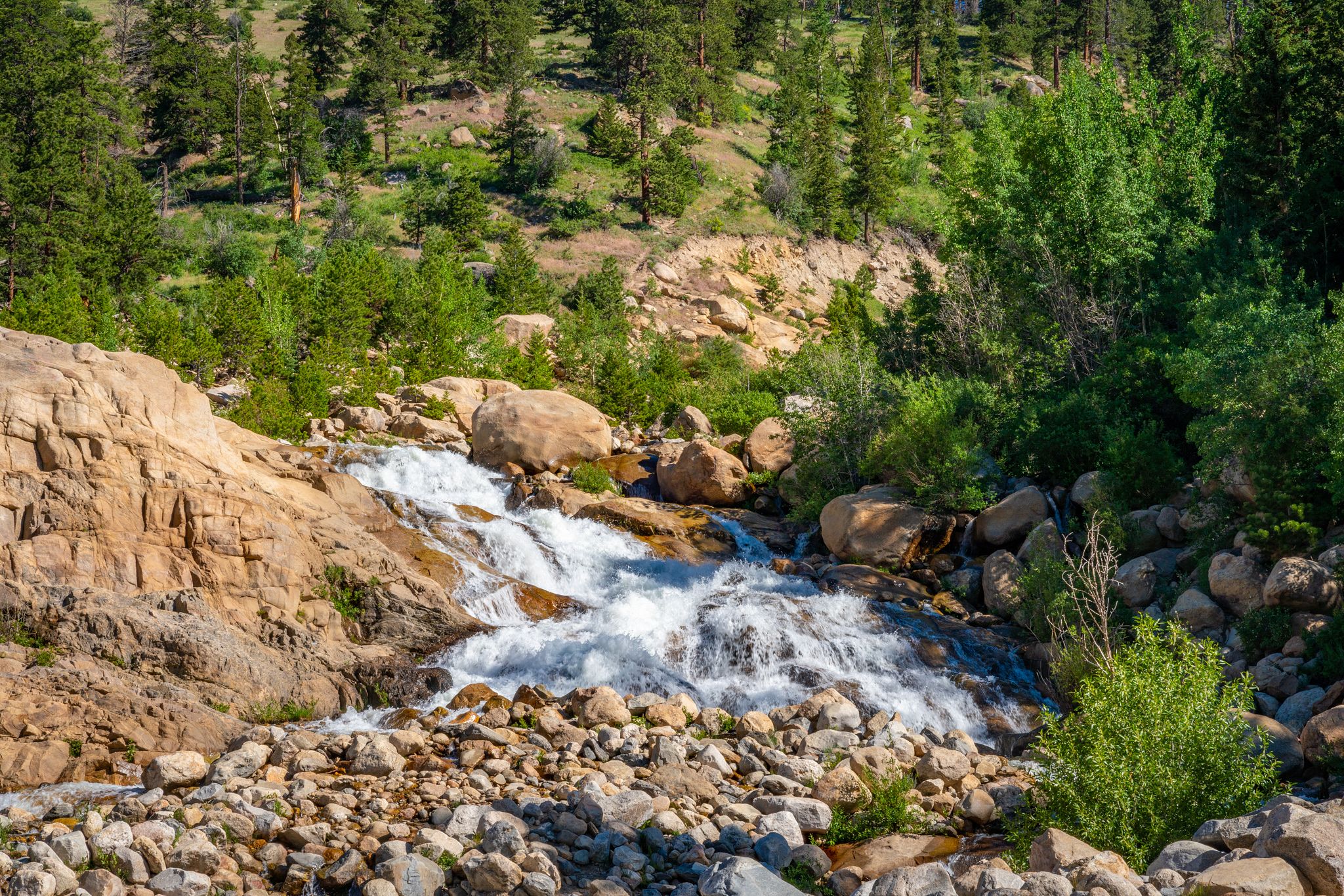 Alluvial Fan