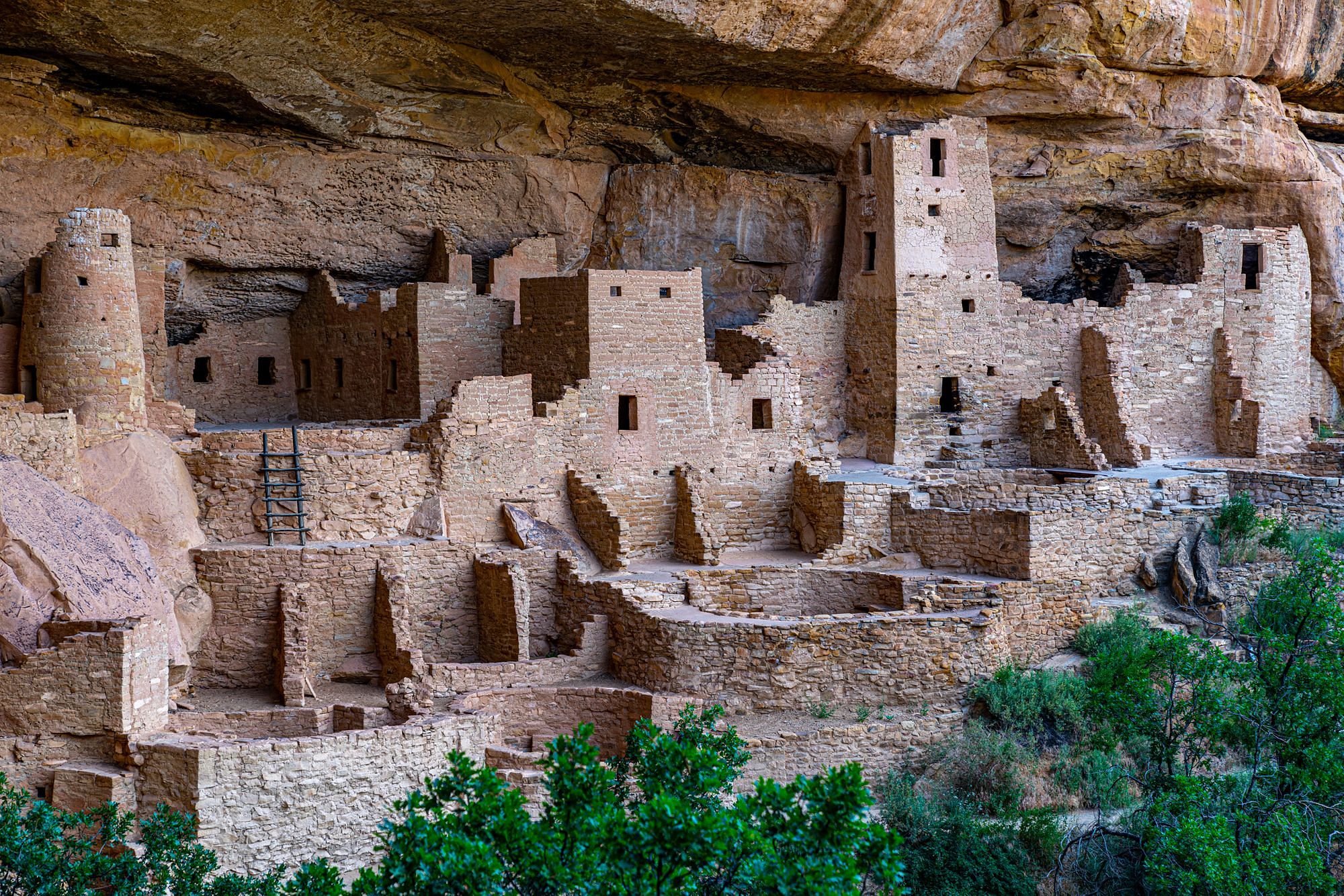 can you visit mesa verde in march