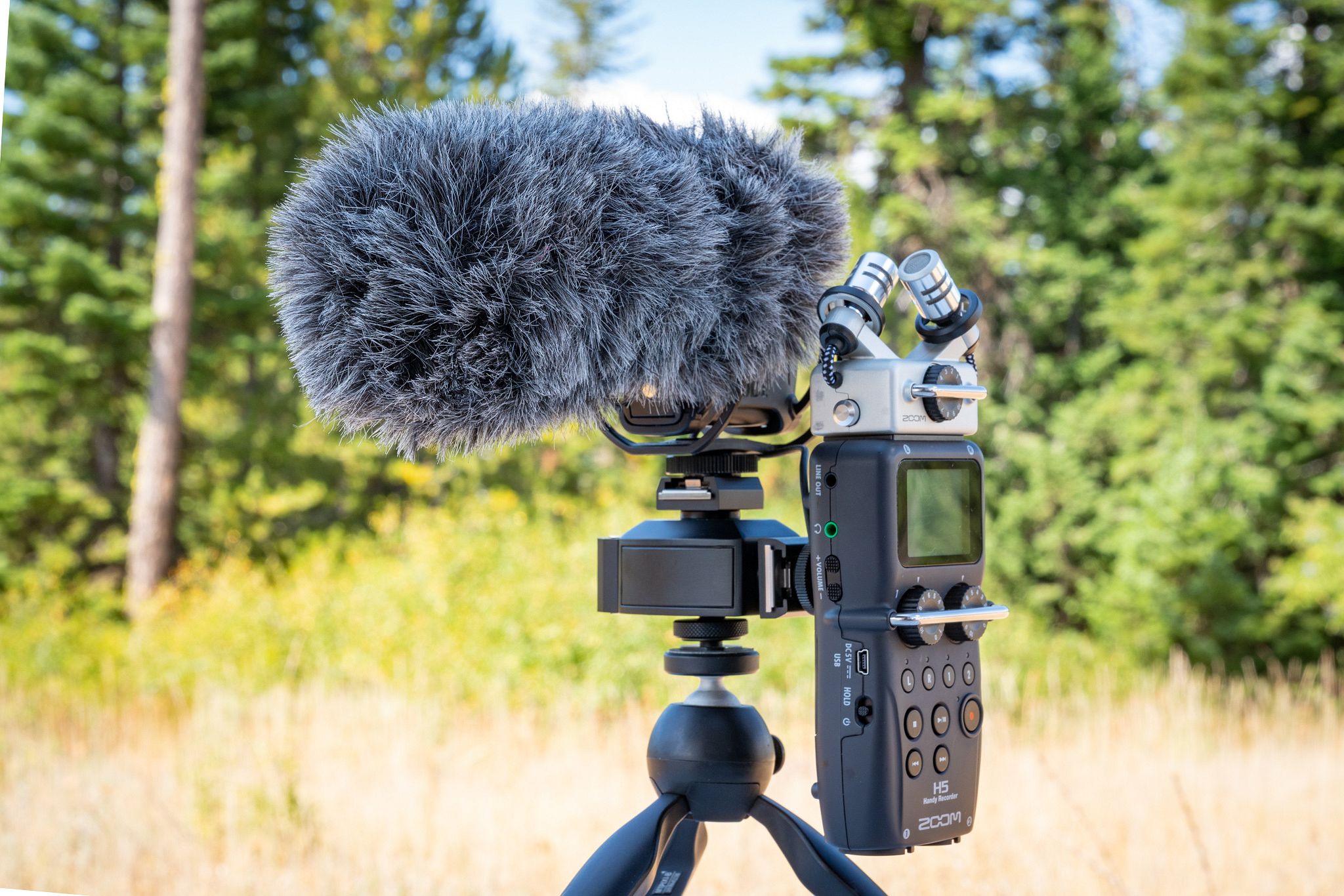Zoom H5 and Rode Video Mic Pro