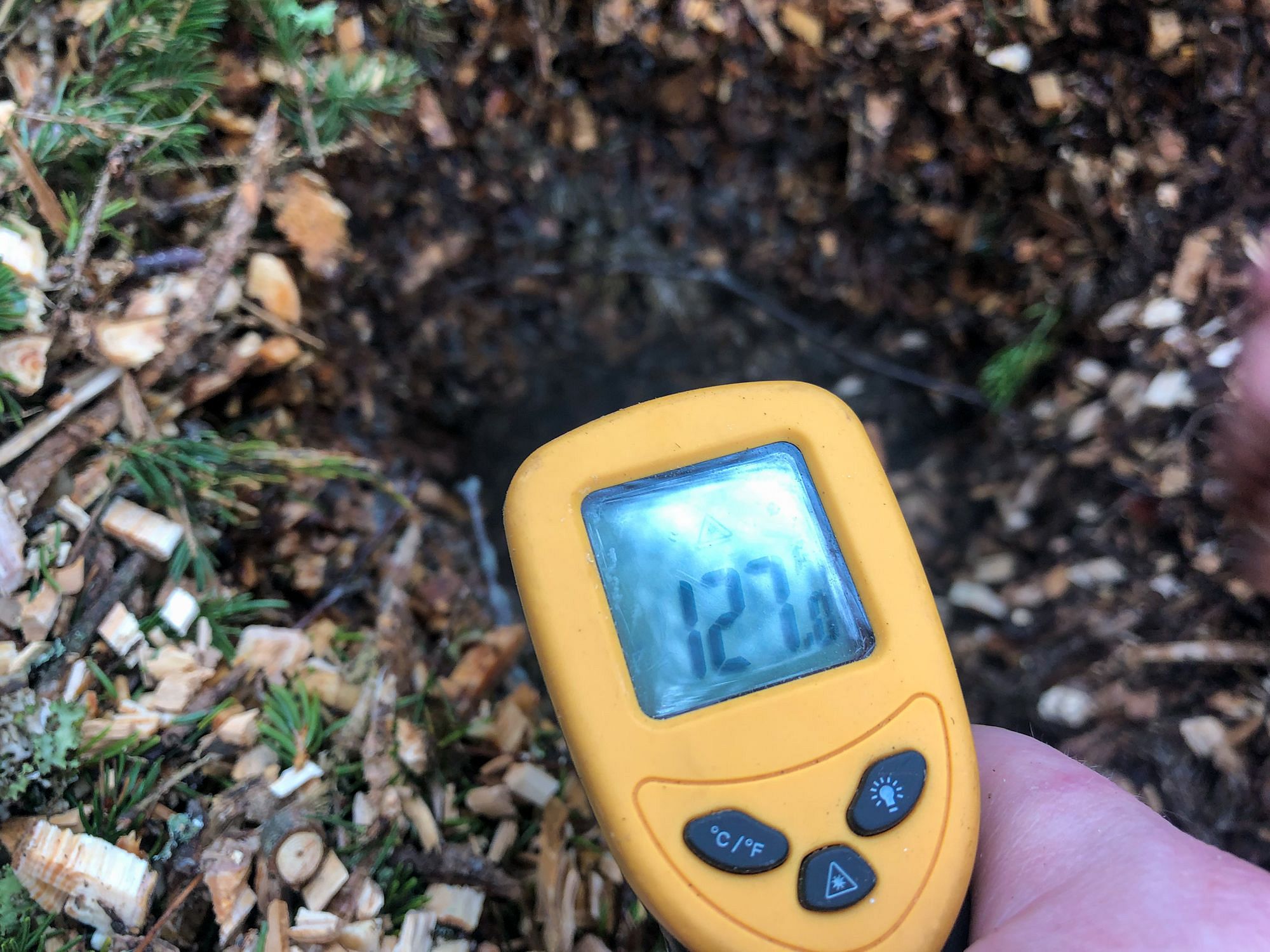 Hot Compost Wood Chip Pile