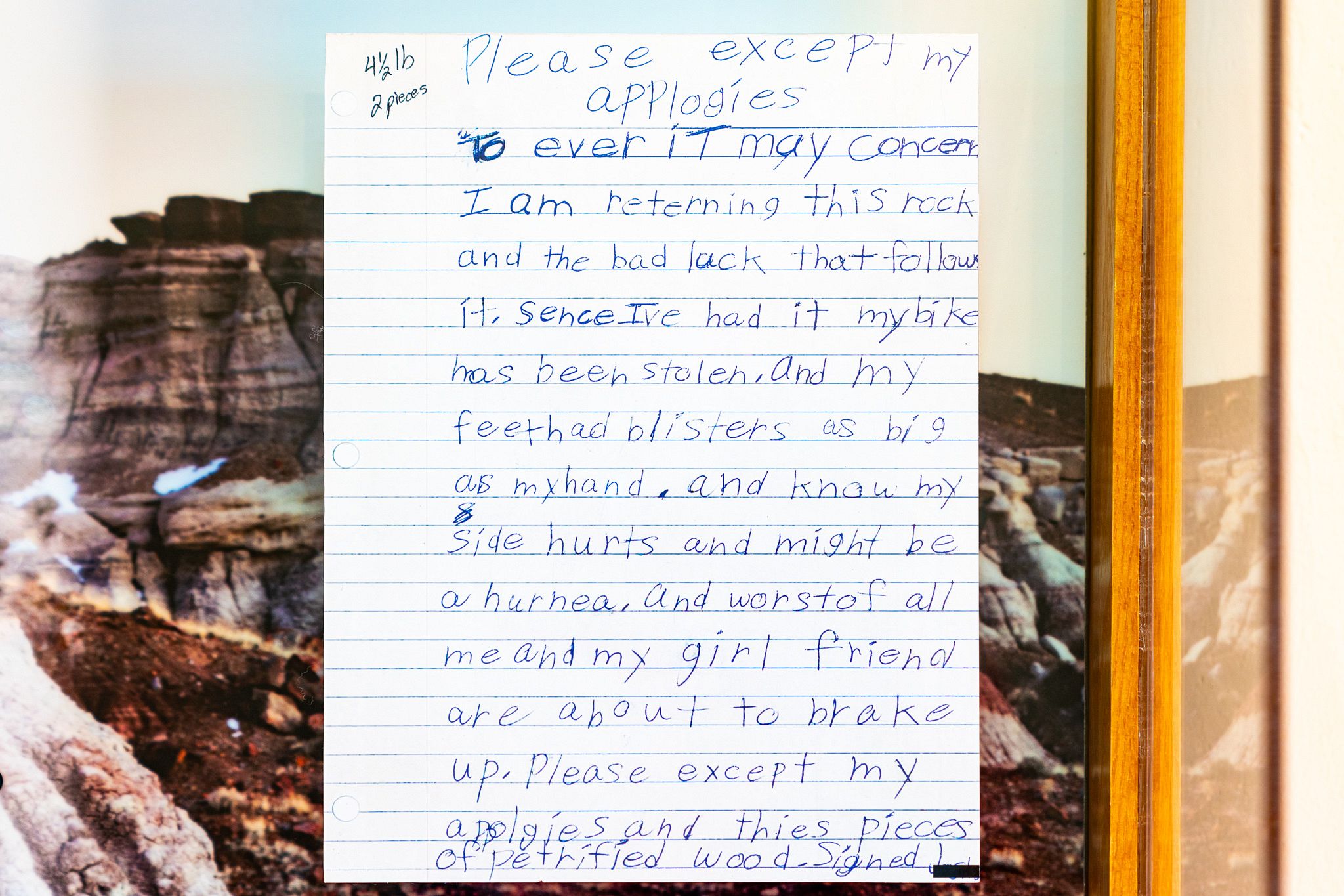 Petrified Wood Theft
