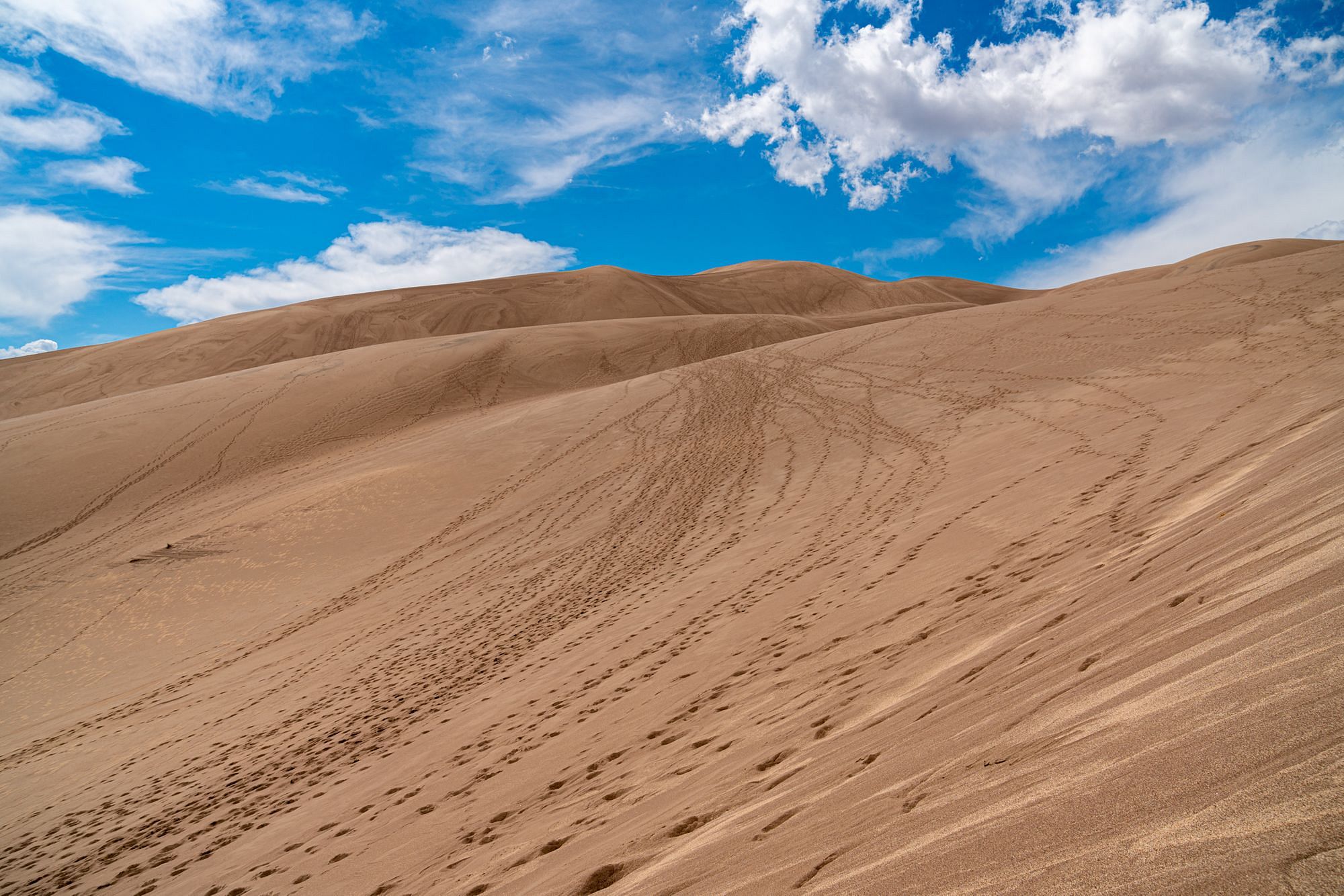 Climbing Sand Dunes