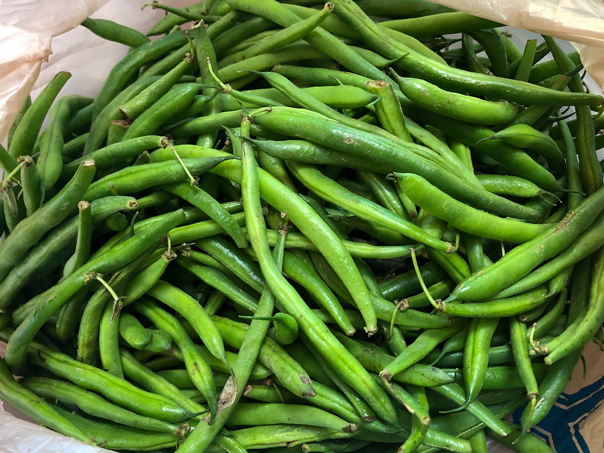 Green Beans