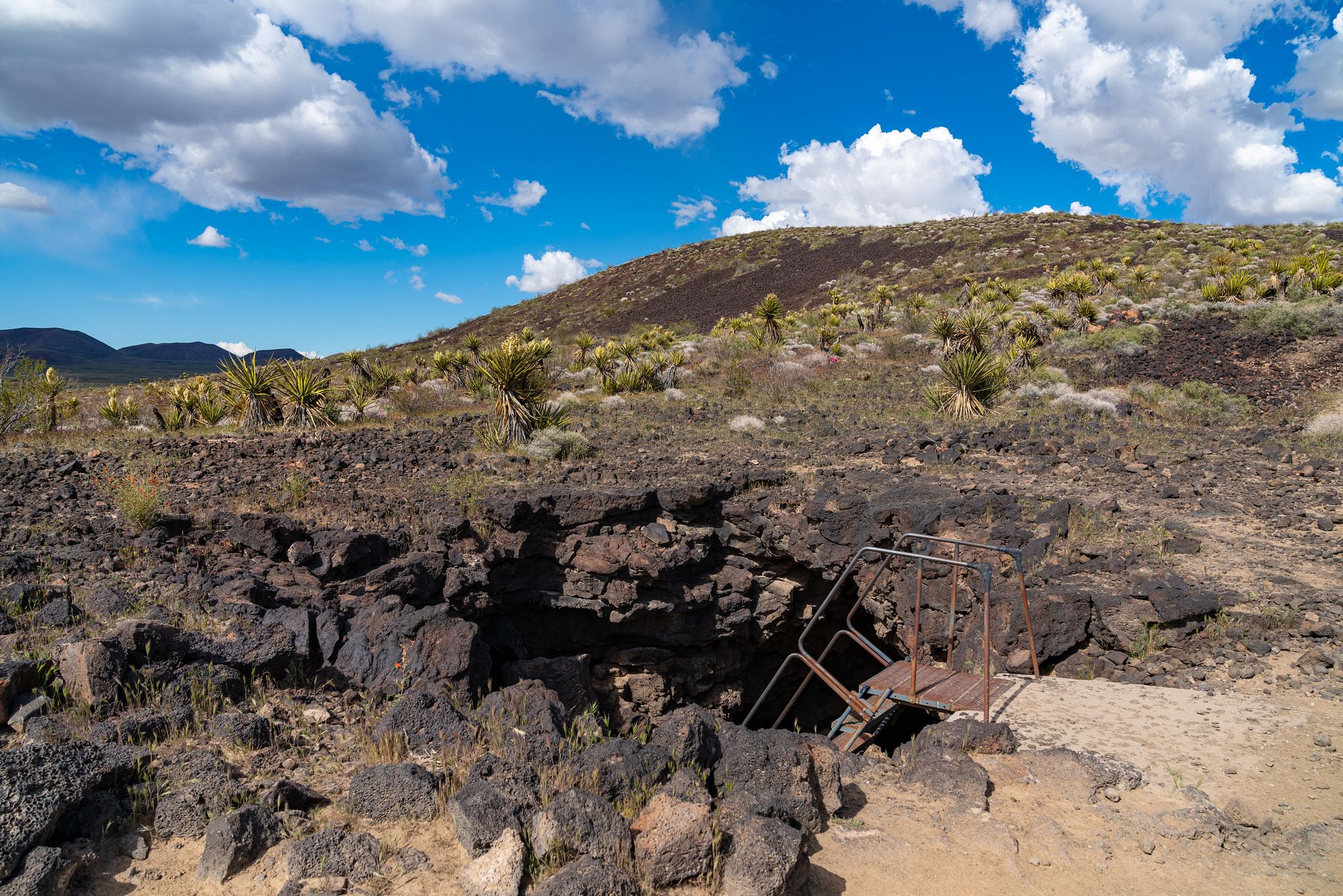 Lava Tubes