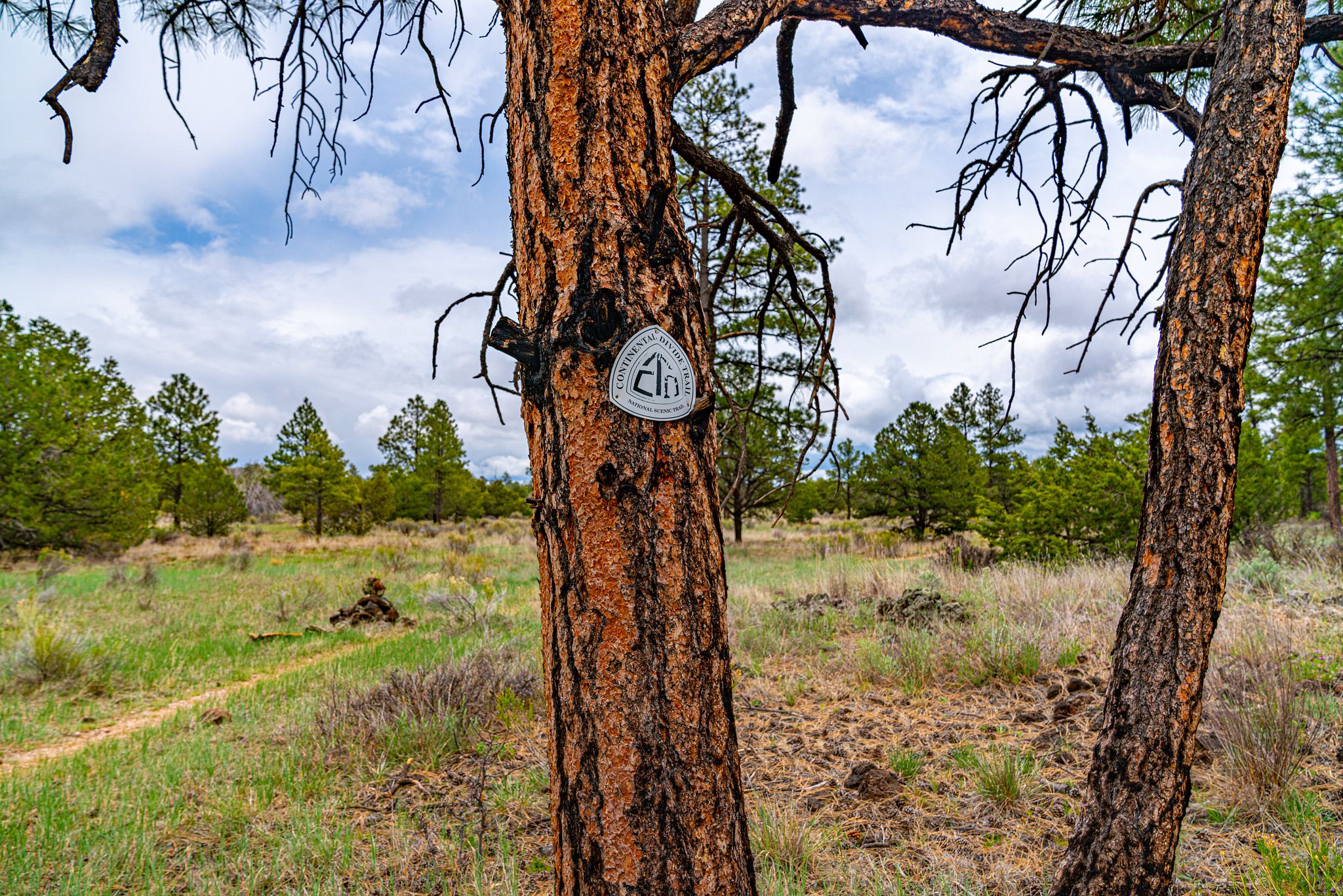 Continental Divide Trail