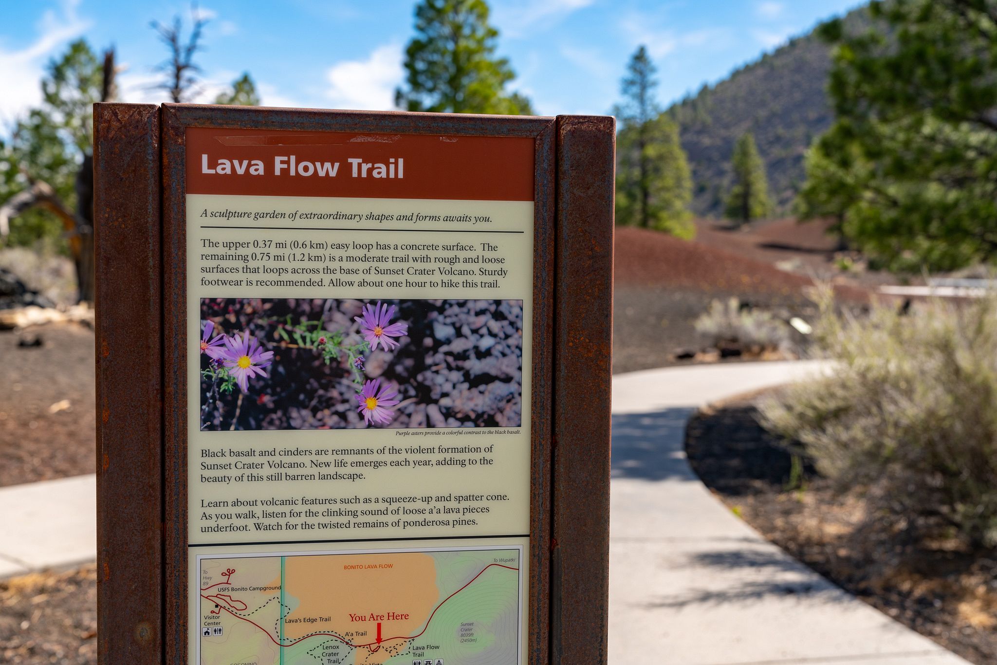 Lava Flow Trail Sign