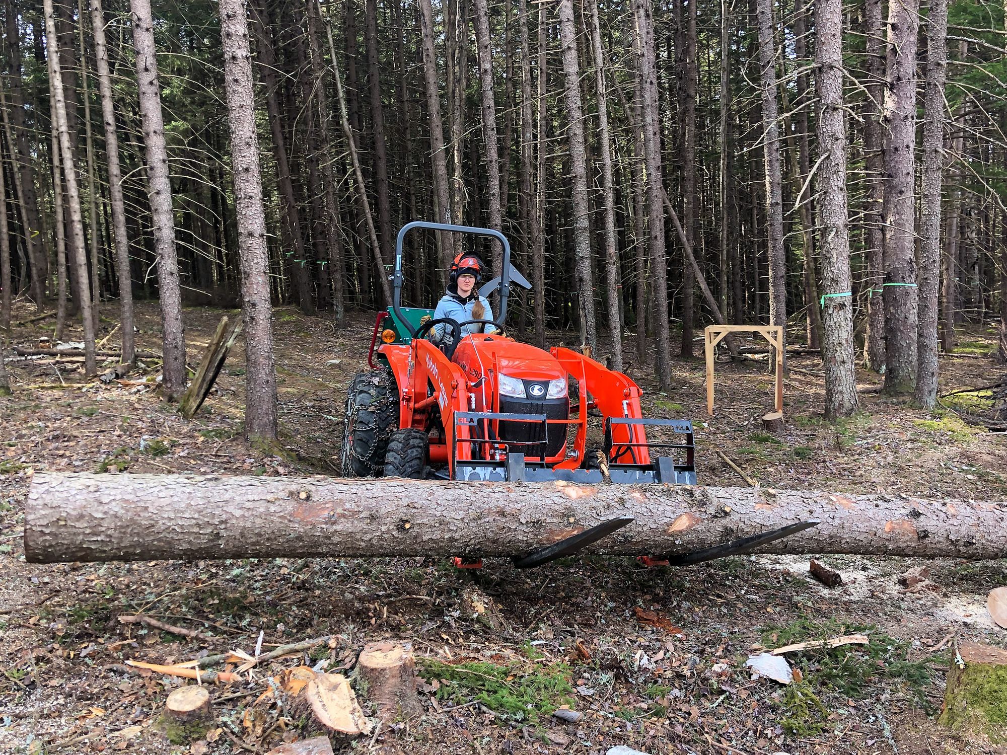 Milling Spruce Logs
