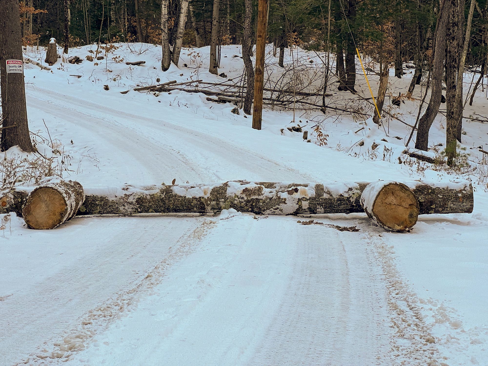 Log Blocking Driveway