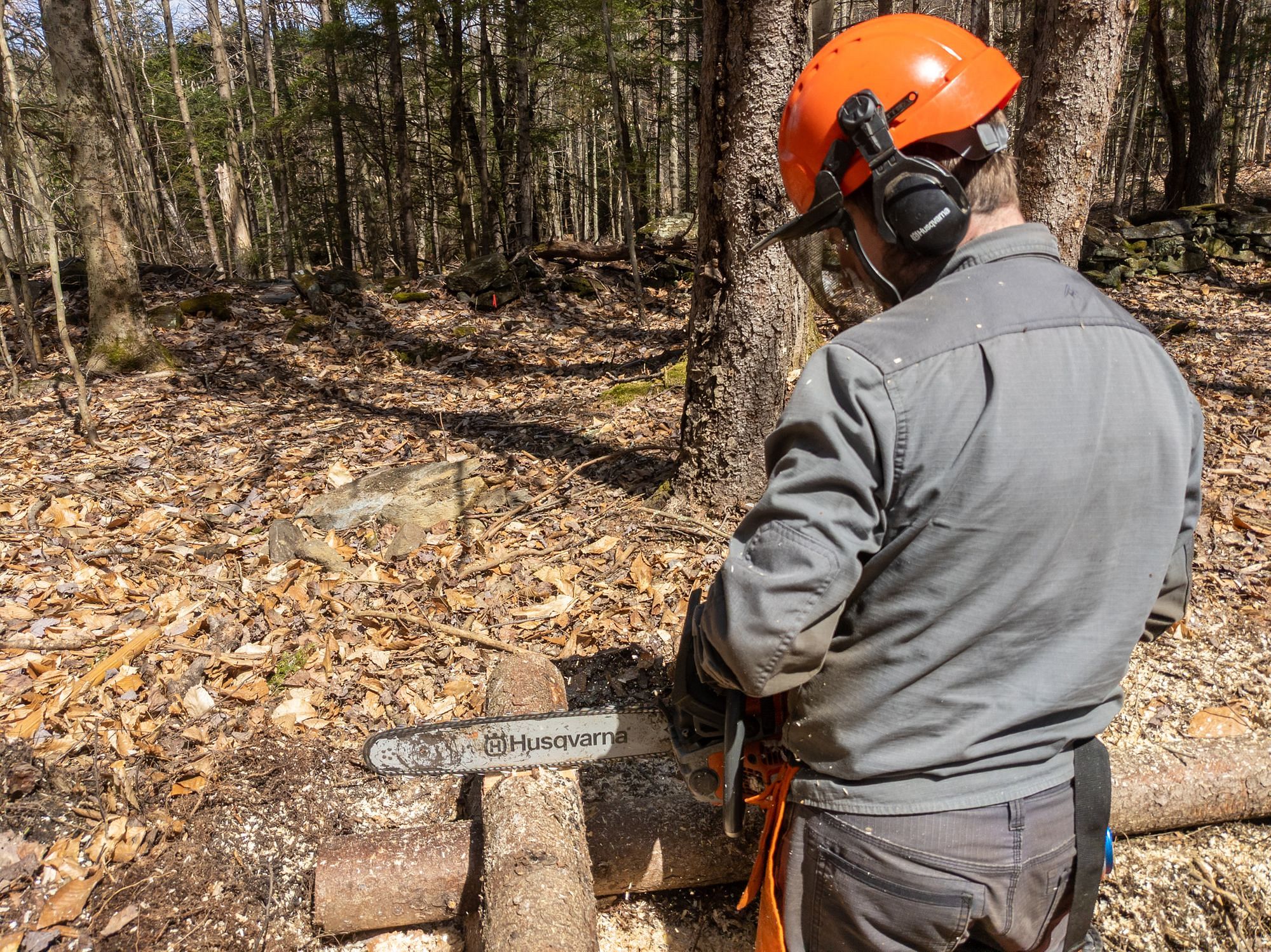 Chainsaw Cutting Saddle Cut