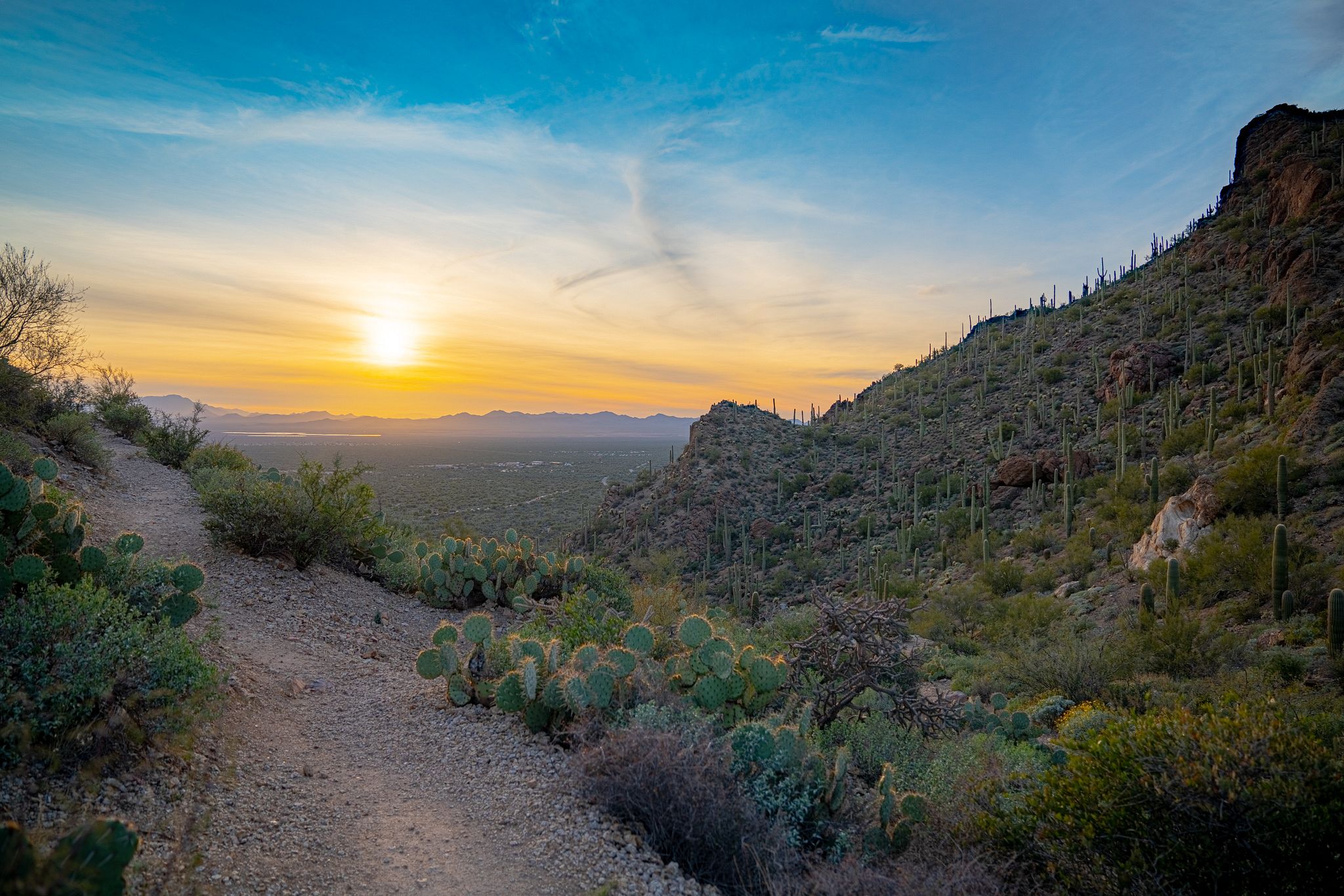 Sunset at Gates Pass Trail