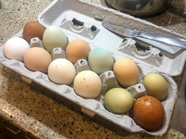 Farm Fresh Eggs