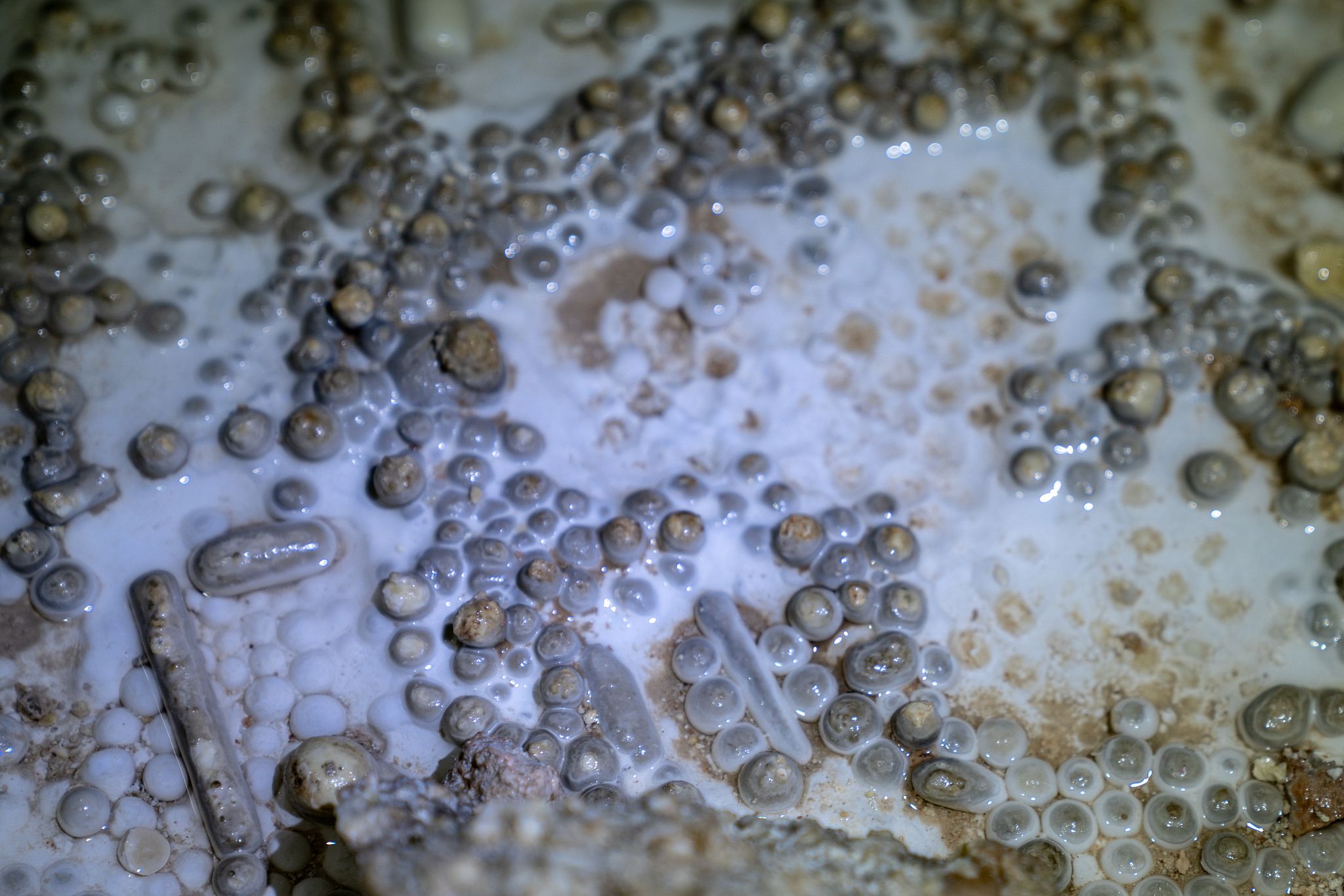 Cave Pearls