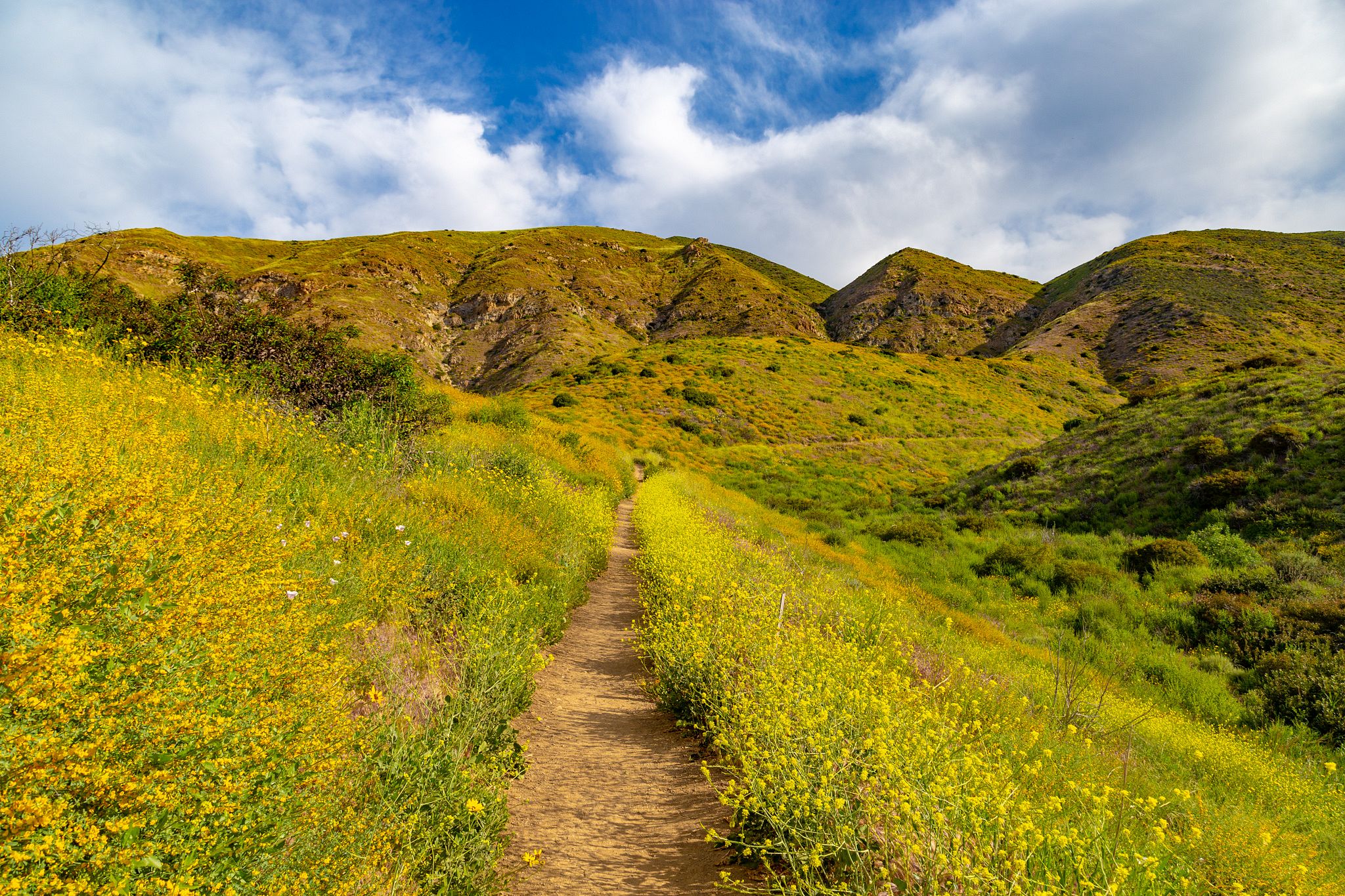 Ray Miller Trail